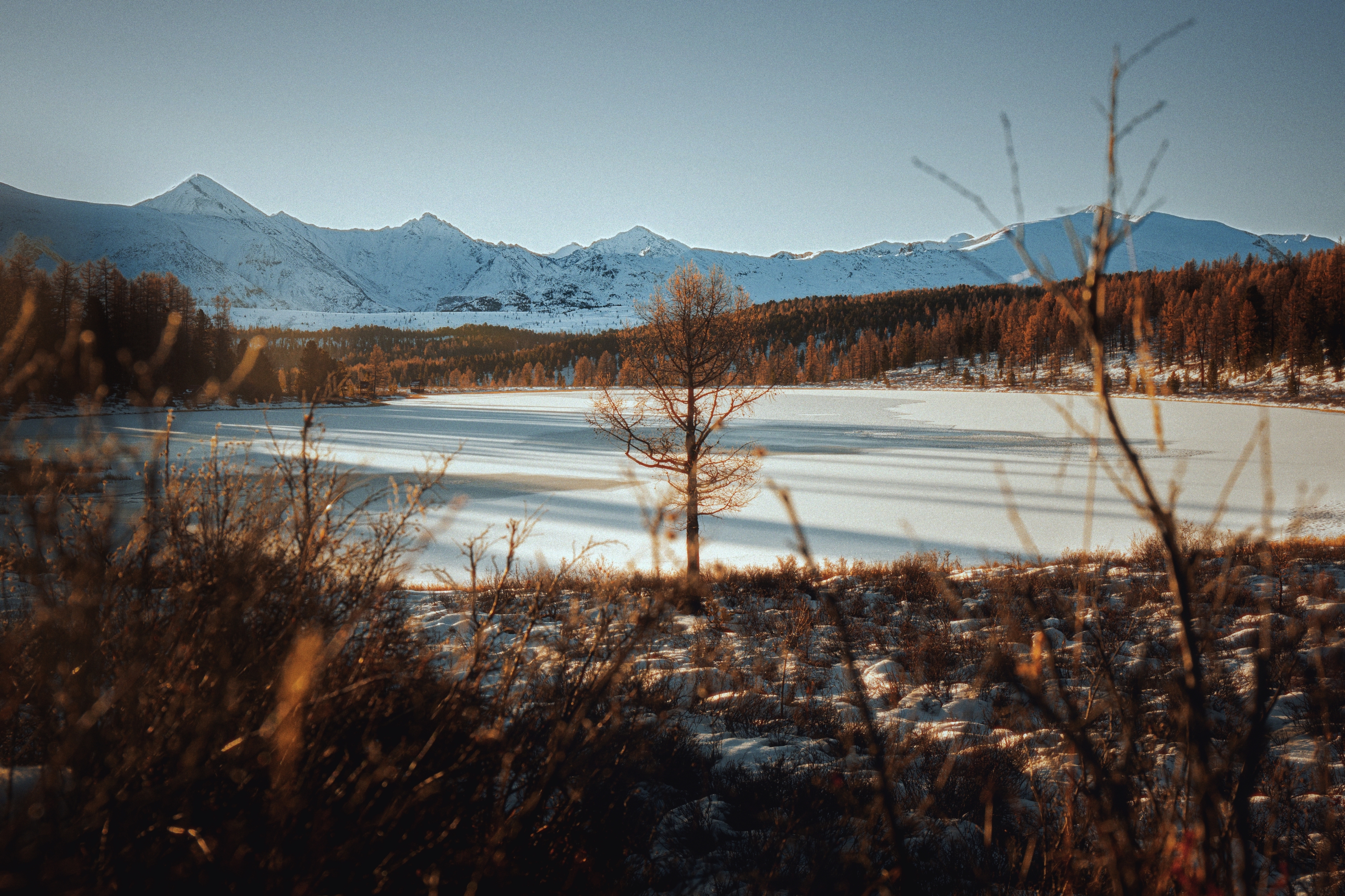 , Виктор Гагарин