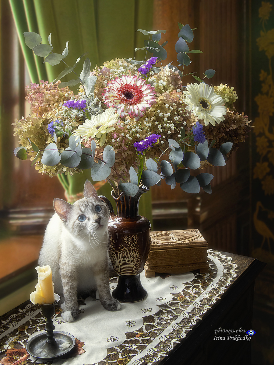 натюрморт, цветы, осенний букет, котик, охос азулес, котенок, кошки, питомцы, Приходько Ирина