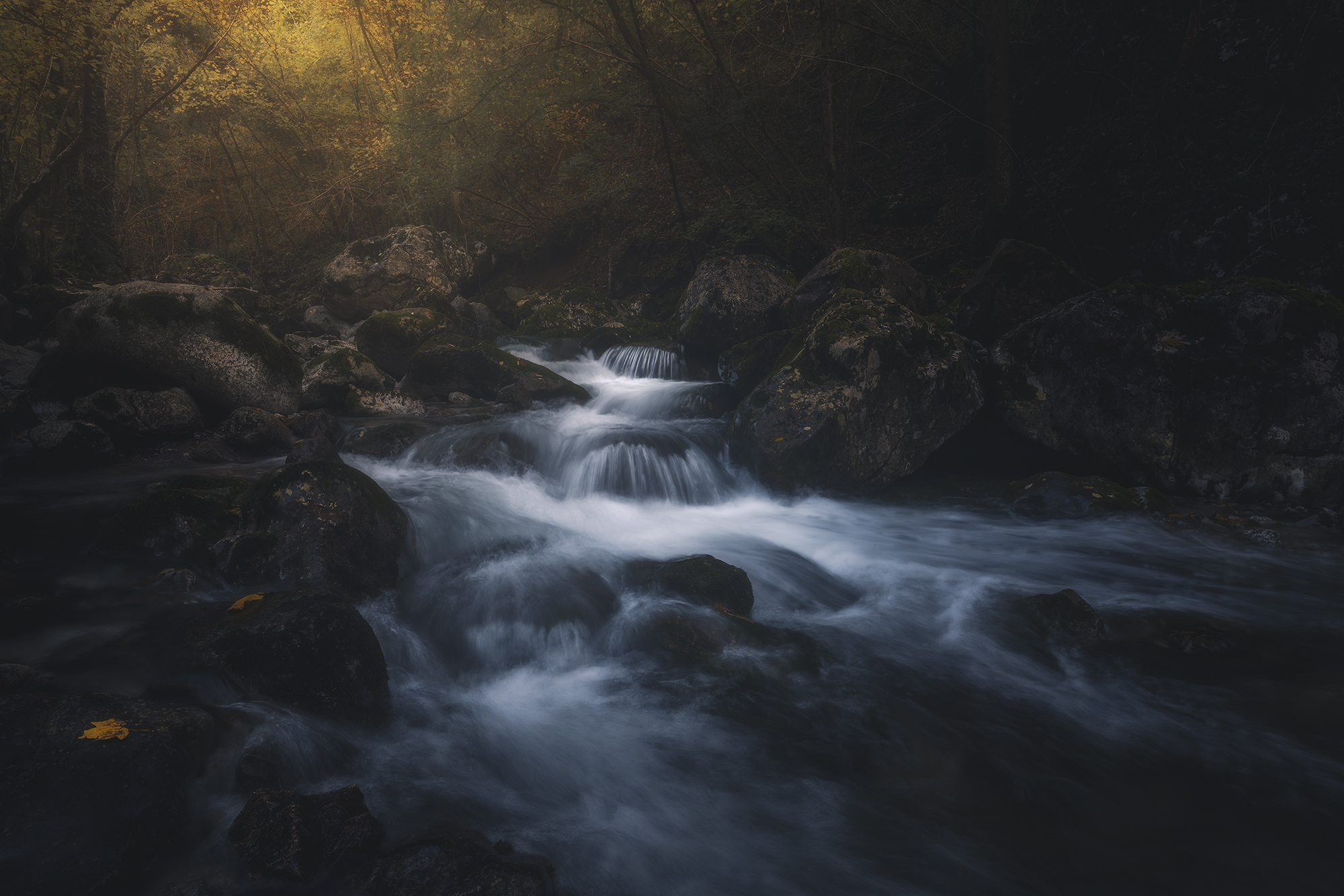 , de Franzoni Thomas