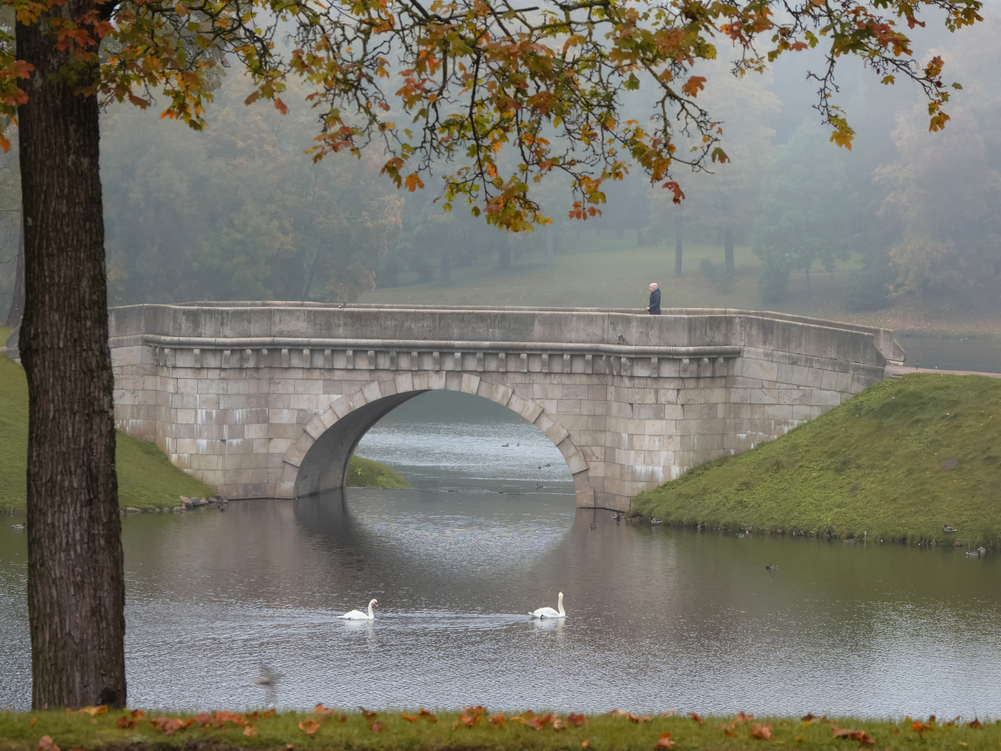 россия гатчина пригородыпетербурга парк осень туман дворцовыйпарк путешествия, Станислав Саблин