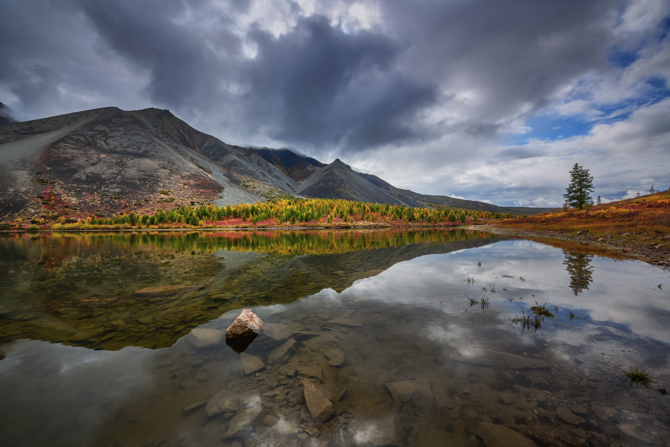 , Евдокимов Максим