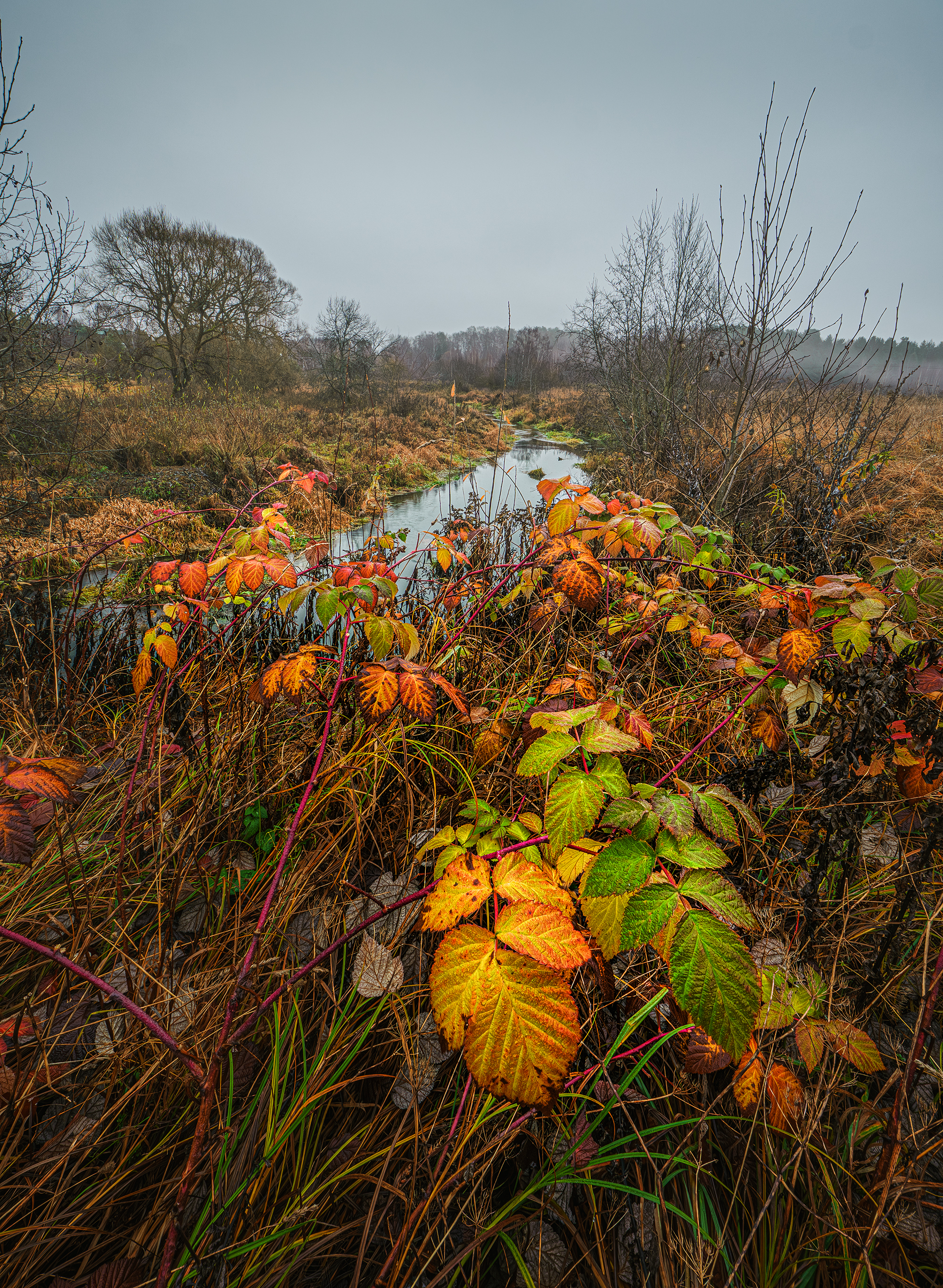 , Андреев Николай