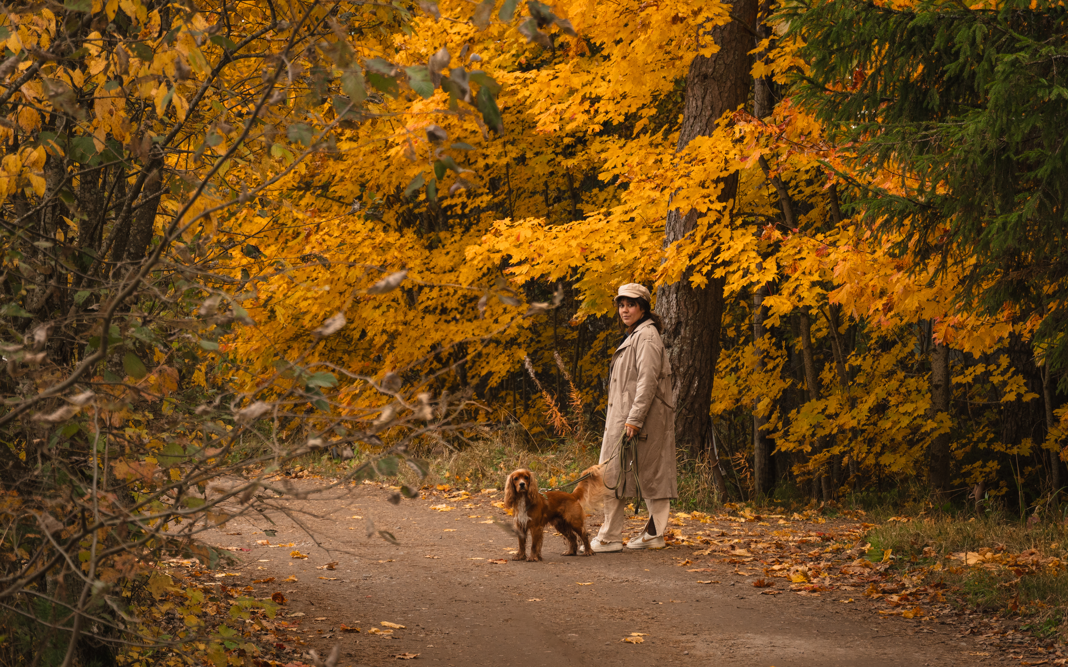 , Власьев Константин