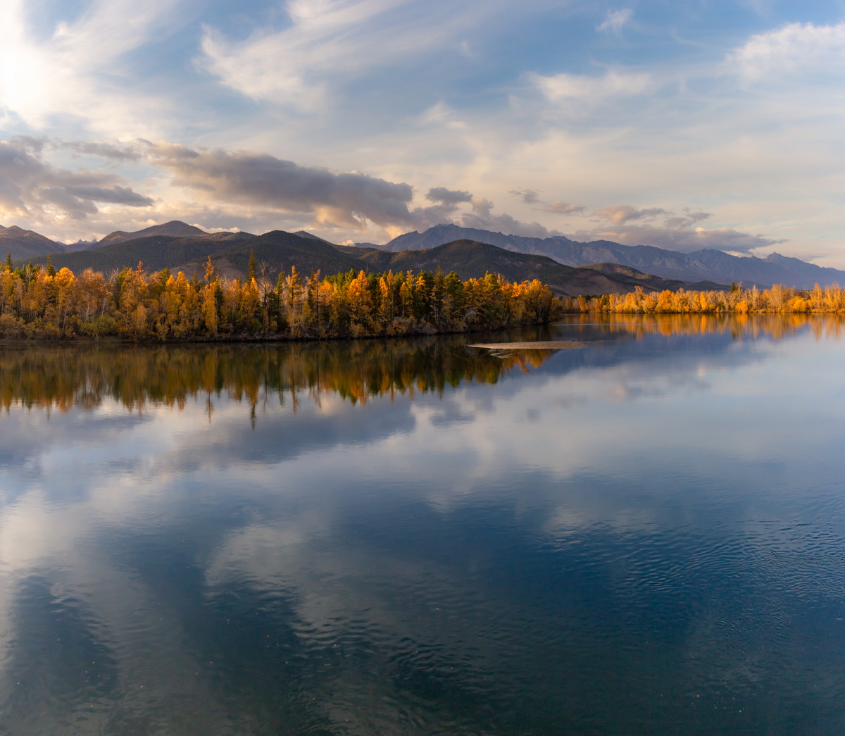 , Трофимов Алексей