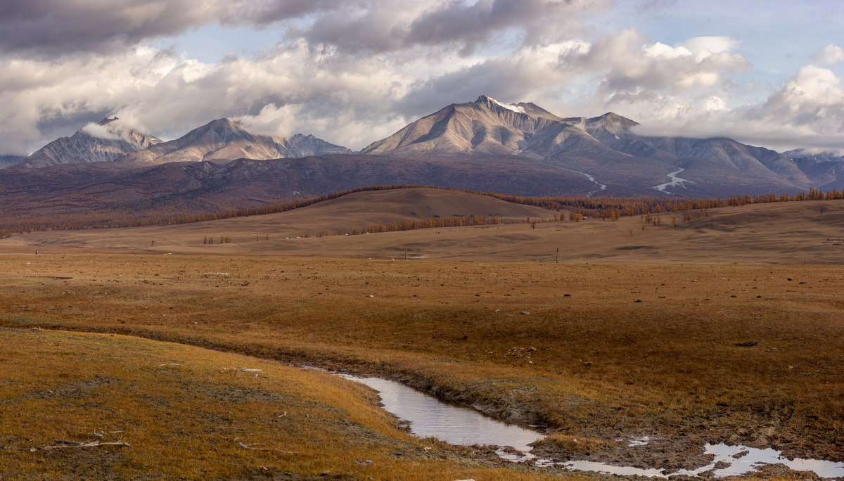 , Трофимов Алексей