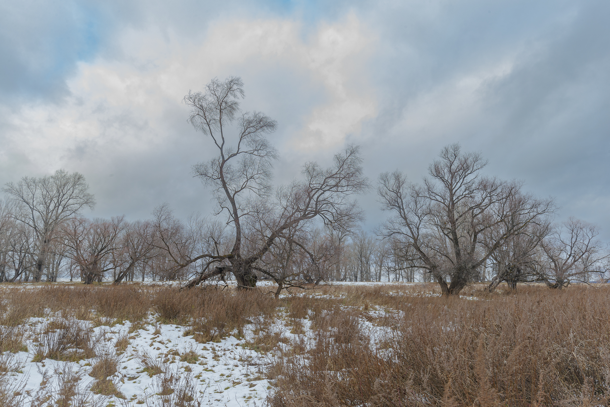 , Гильманов Артур