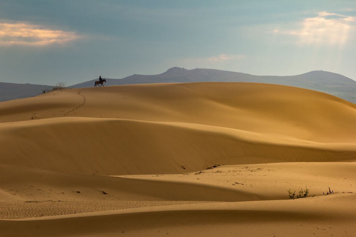 , Трофимов Алексей