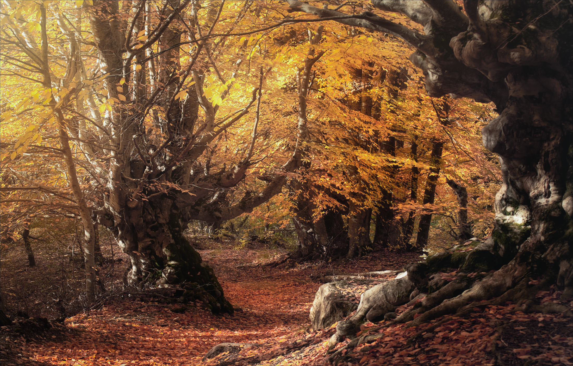 , Богорянов Алексей