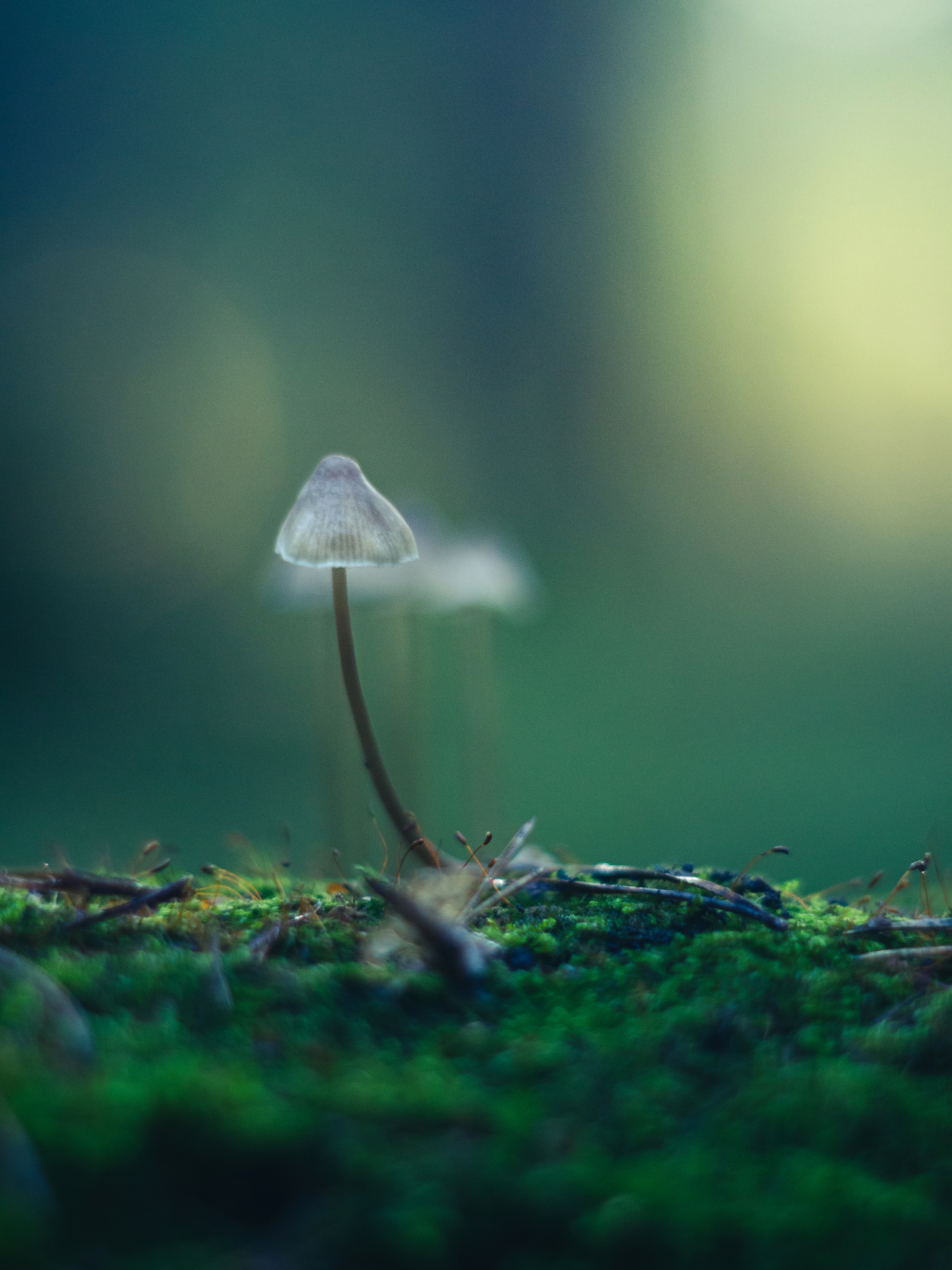 , Вайсберг Александр