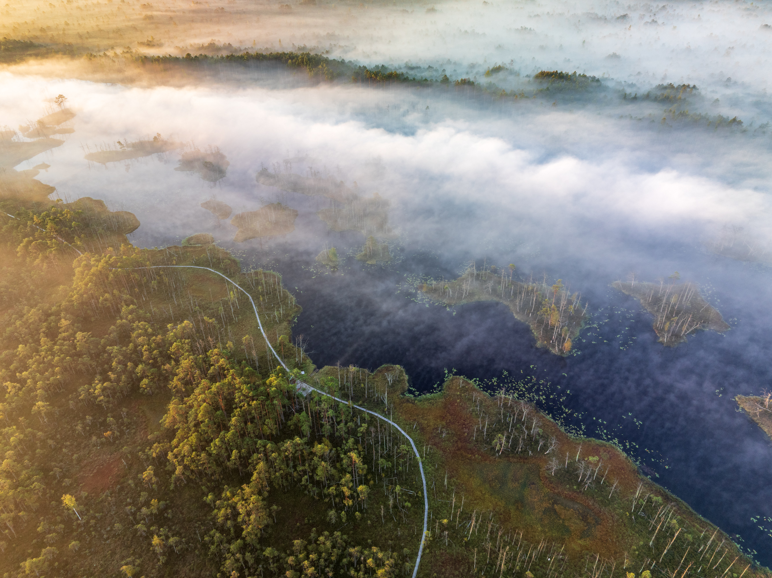 , Гордон Николай