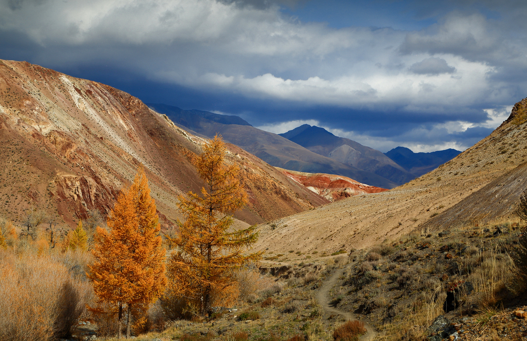 , Евгений Зинов