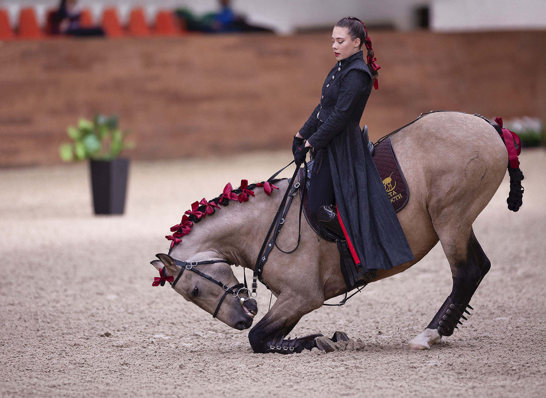 выступление, спорт, horse, competition, sport, Стукалова Юлия