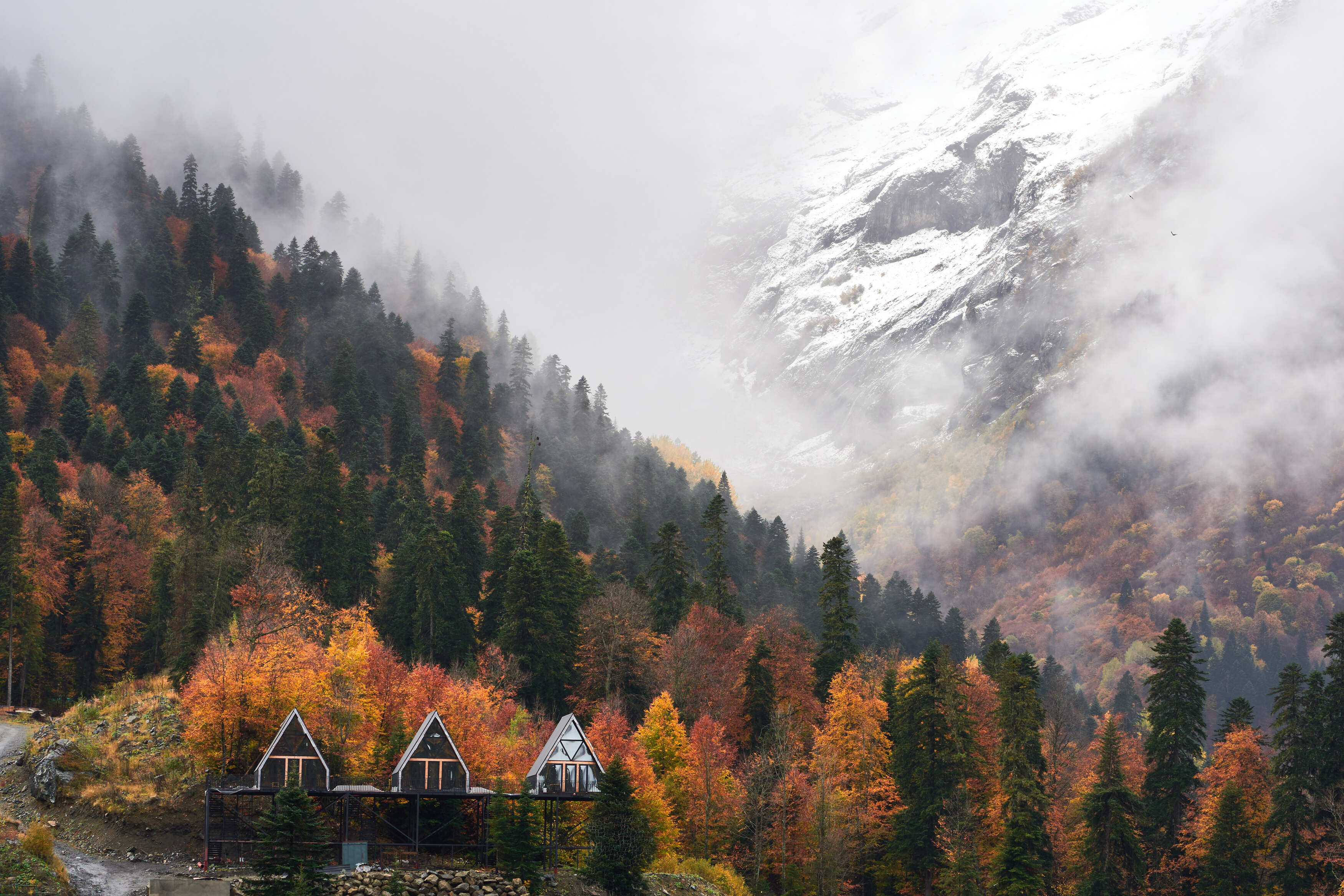 Домбай, Абдулаев Ян