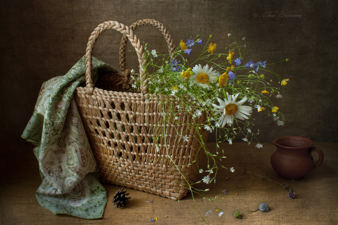 лето, цветы, ромашки, Колеснева Елена