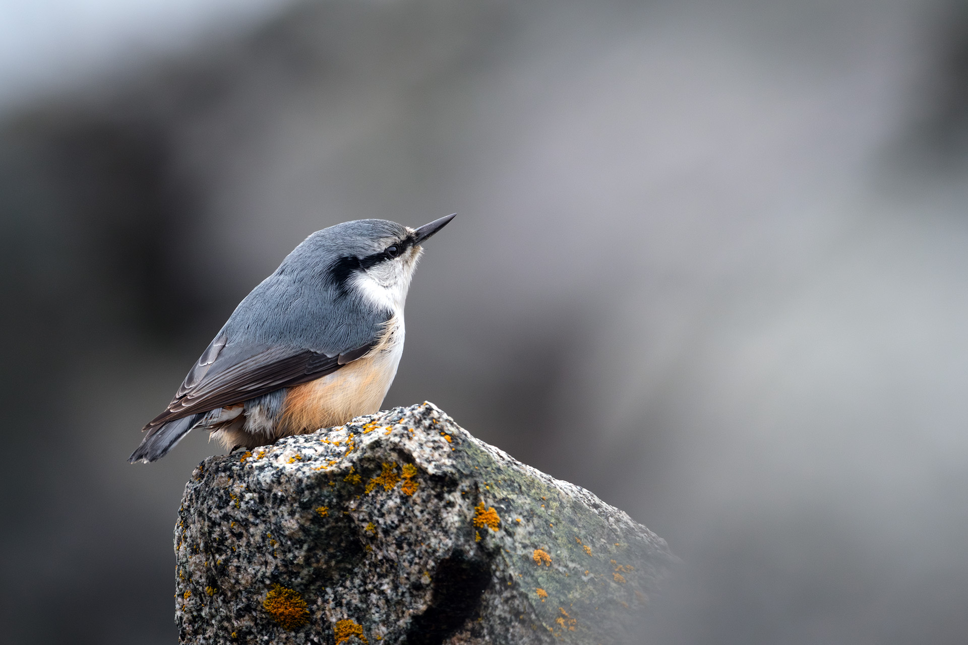 , Бодрягин Виталий
