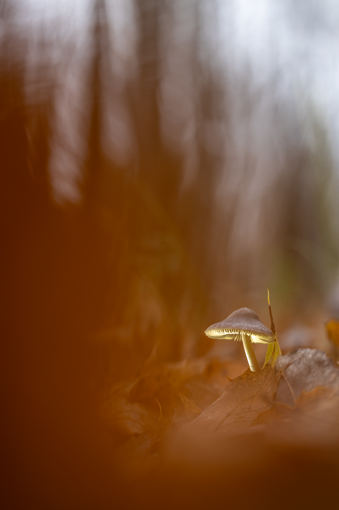 , Кузнецов Дмитрий