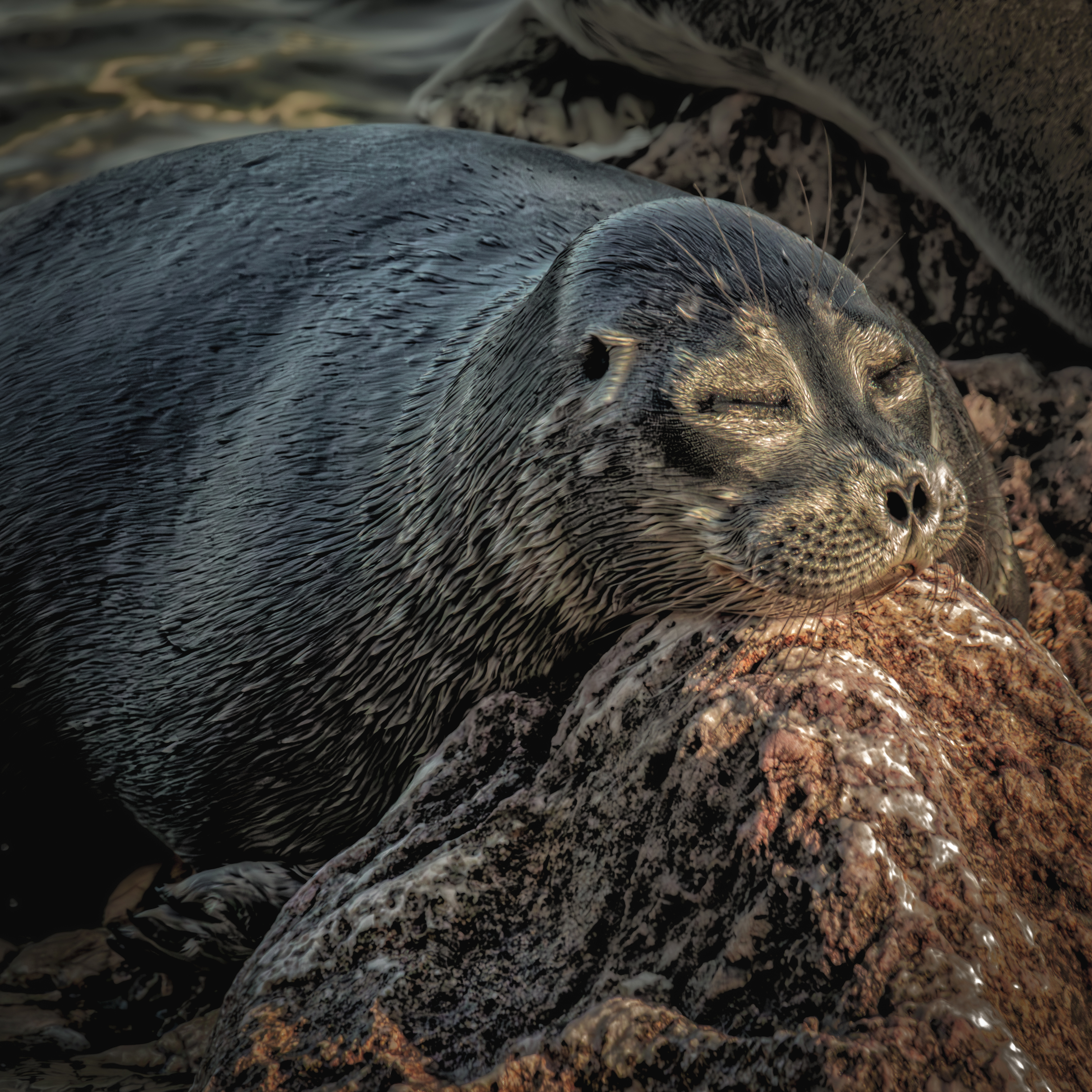 , Лаврентьев Александр