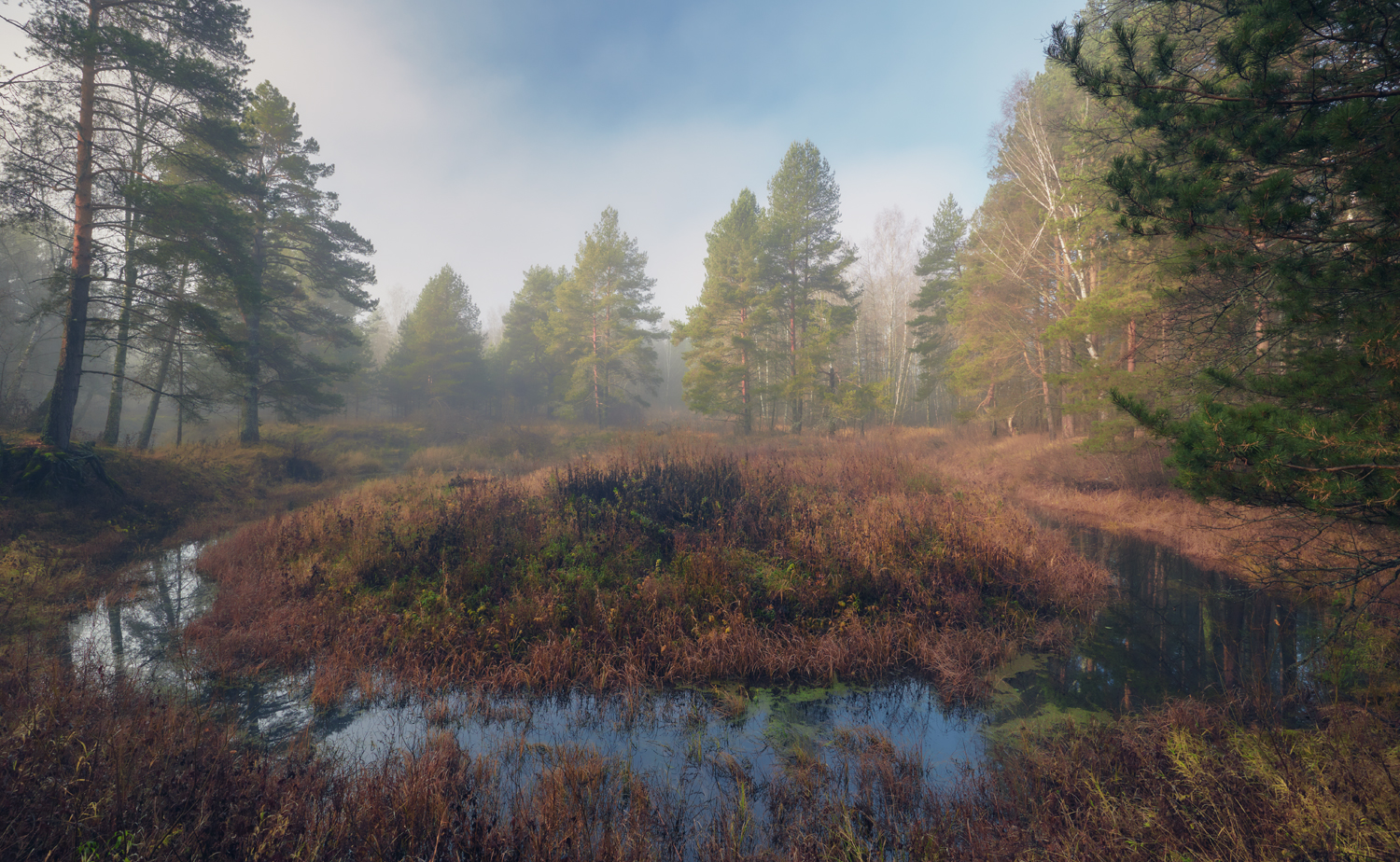 , Роман Лушпа