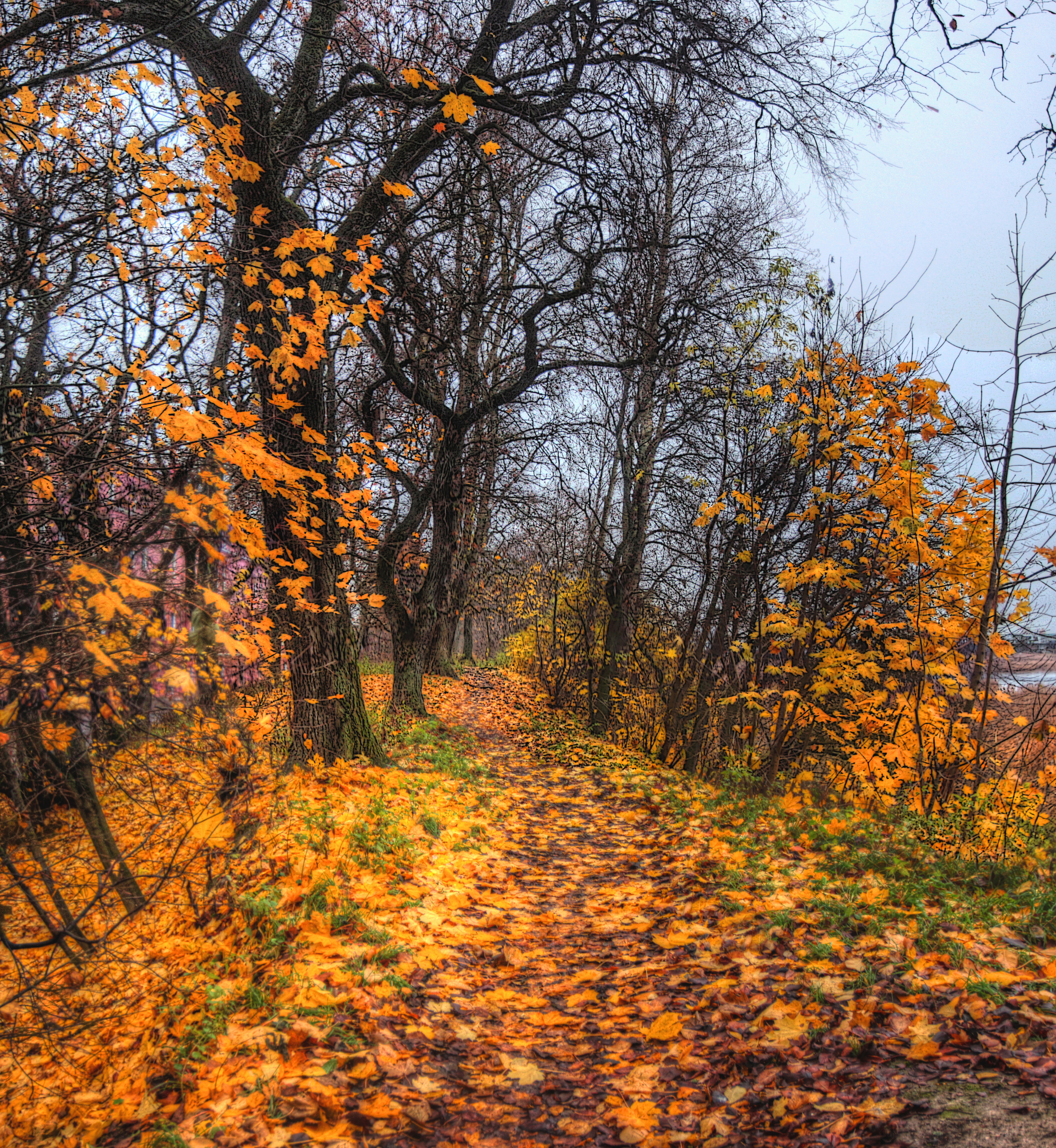 , Сергей Григорьев