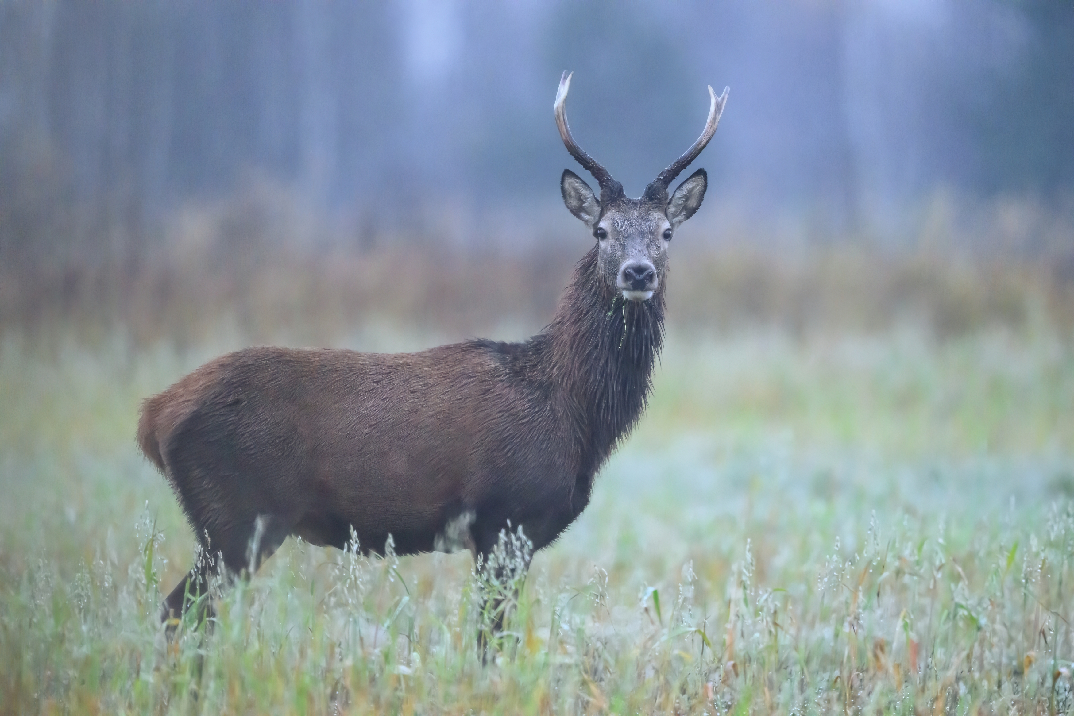 , Пупонин Сергей