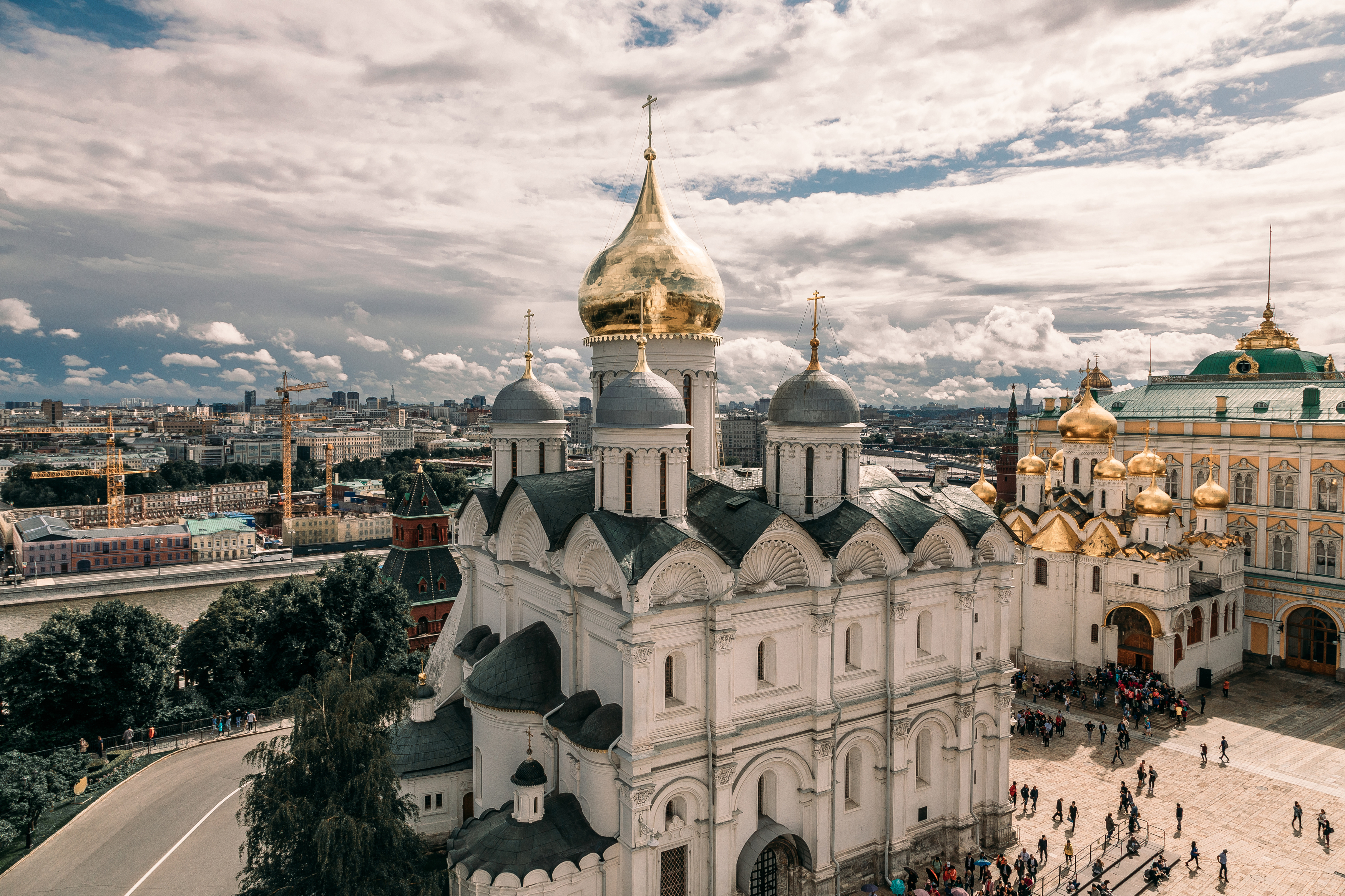 , Трепольский Дмитрий