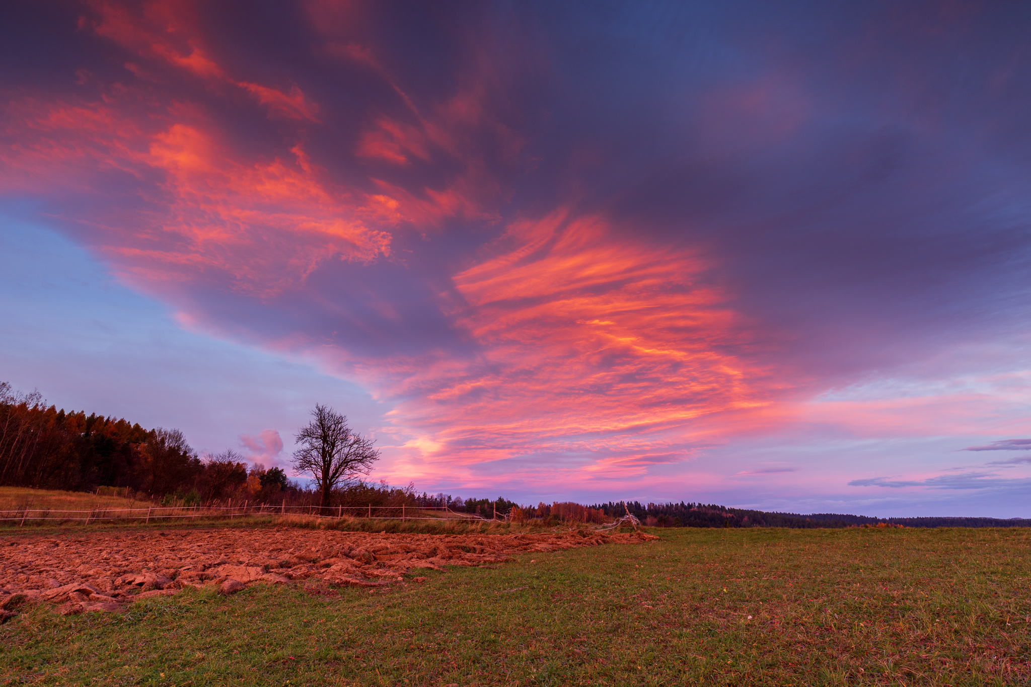 ,  Mirosław Pruchnicki