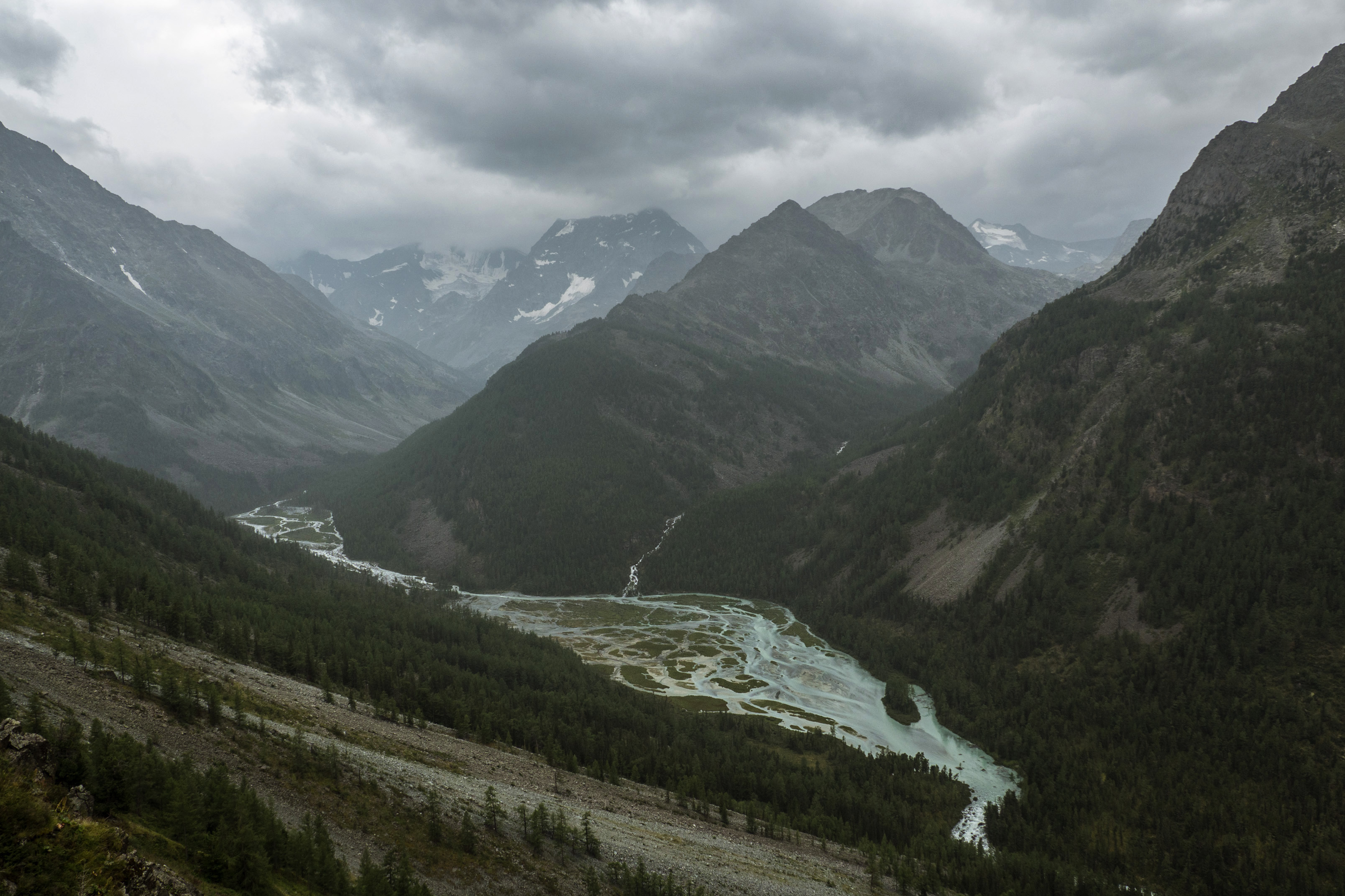 алтай, кучерла, Станислав