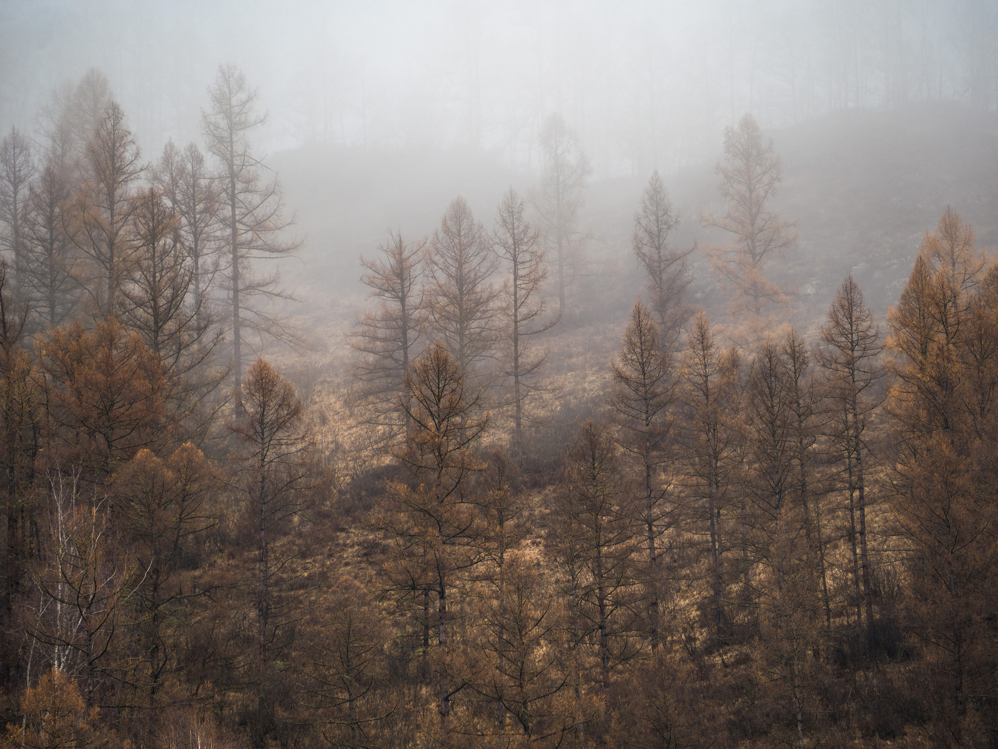 алтай, туман, Станислав