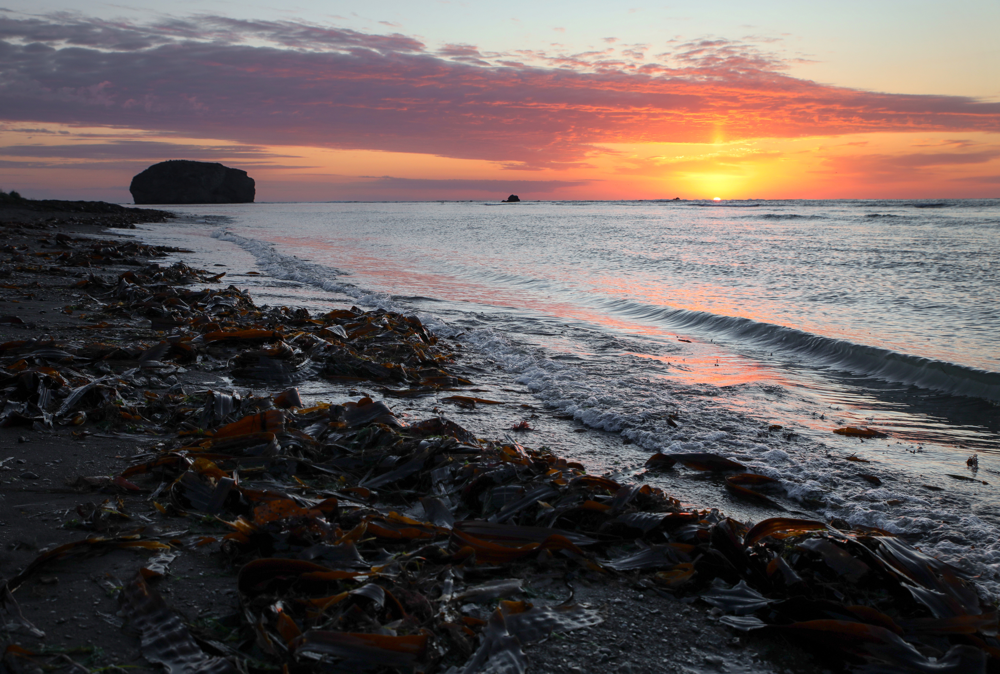 , Артем Удодов