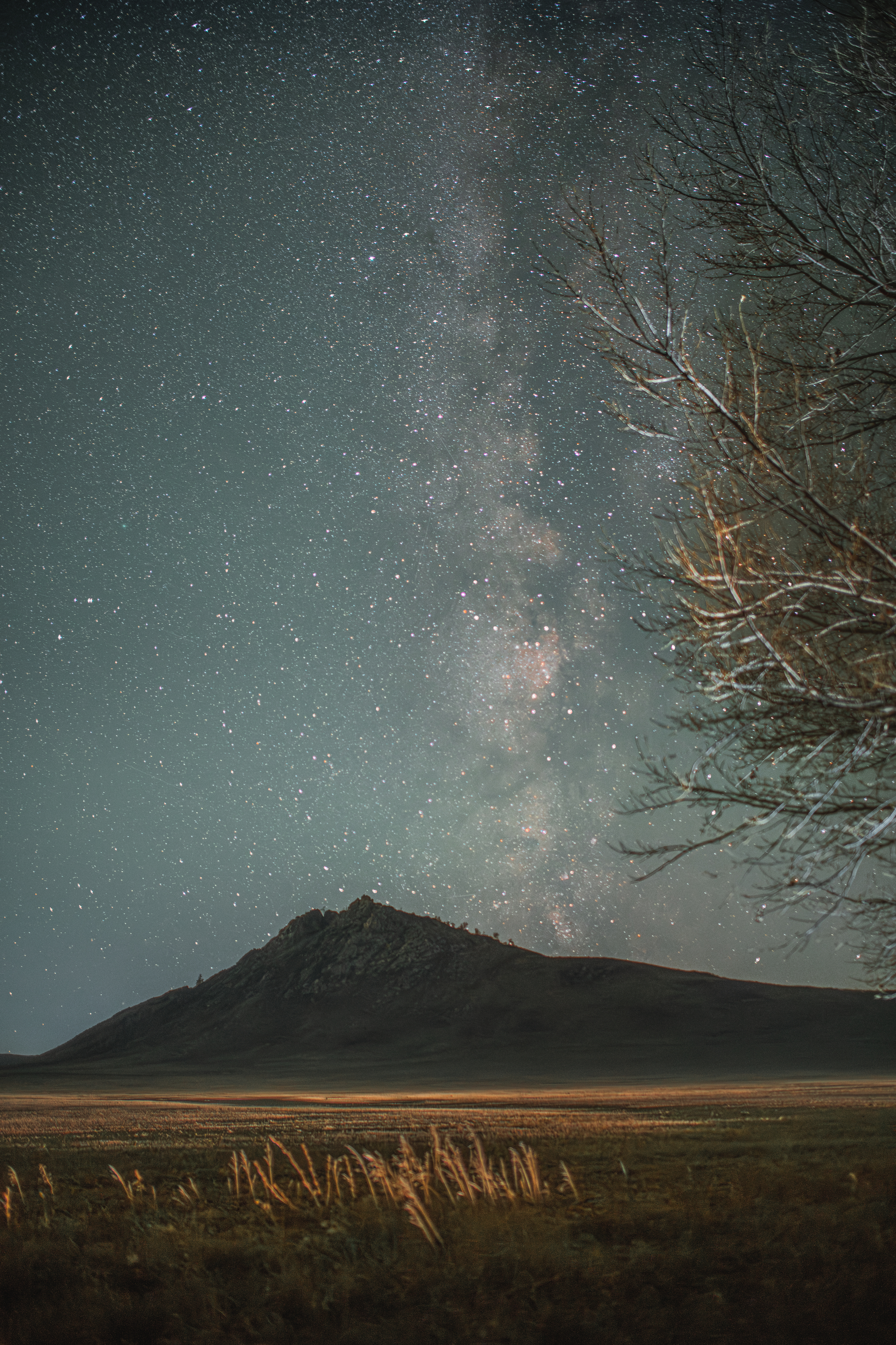 Алтай, ночь, звезды, млечный путь, гора, холм, дерево, поле, Denis Koshkin