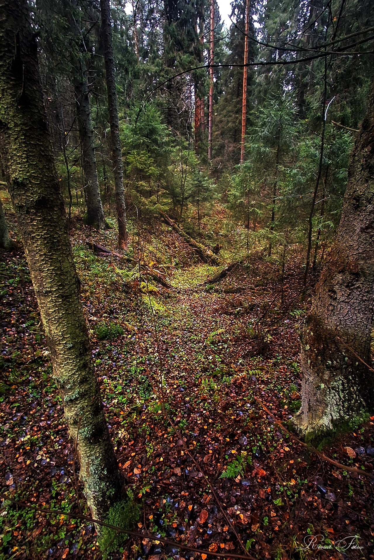 , Фотов Ренат