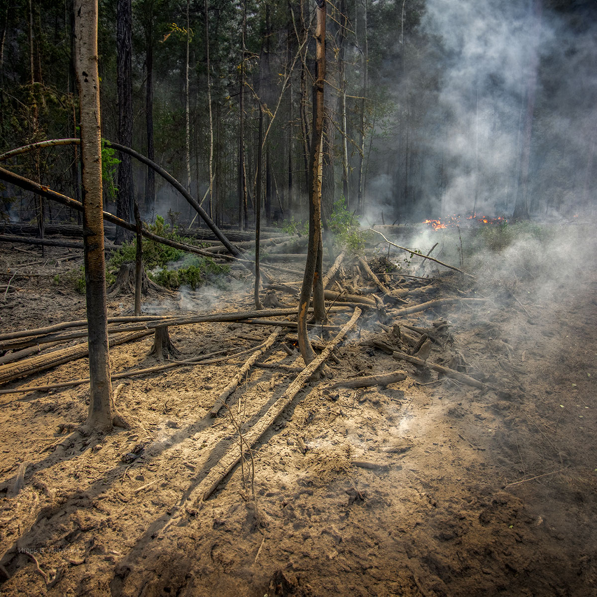 , Капустин Игорь