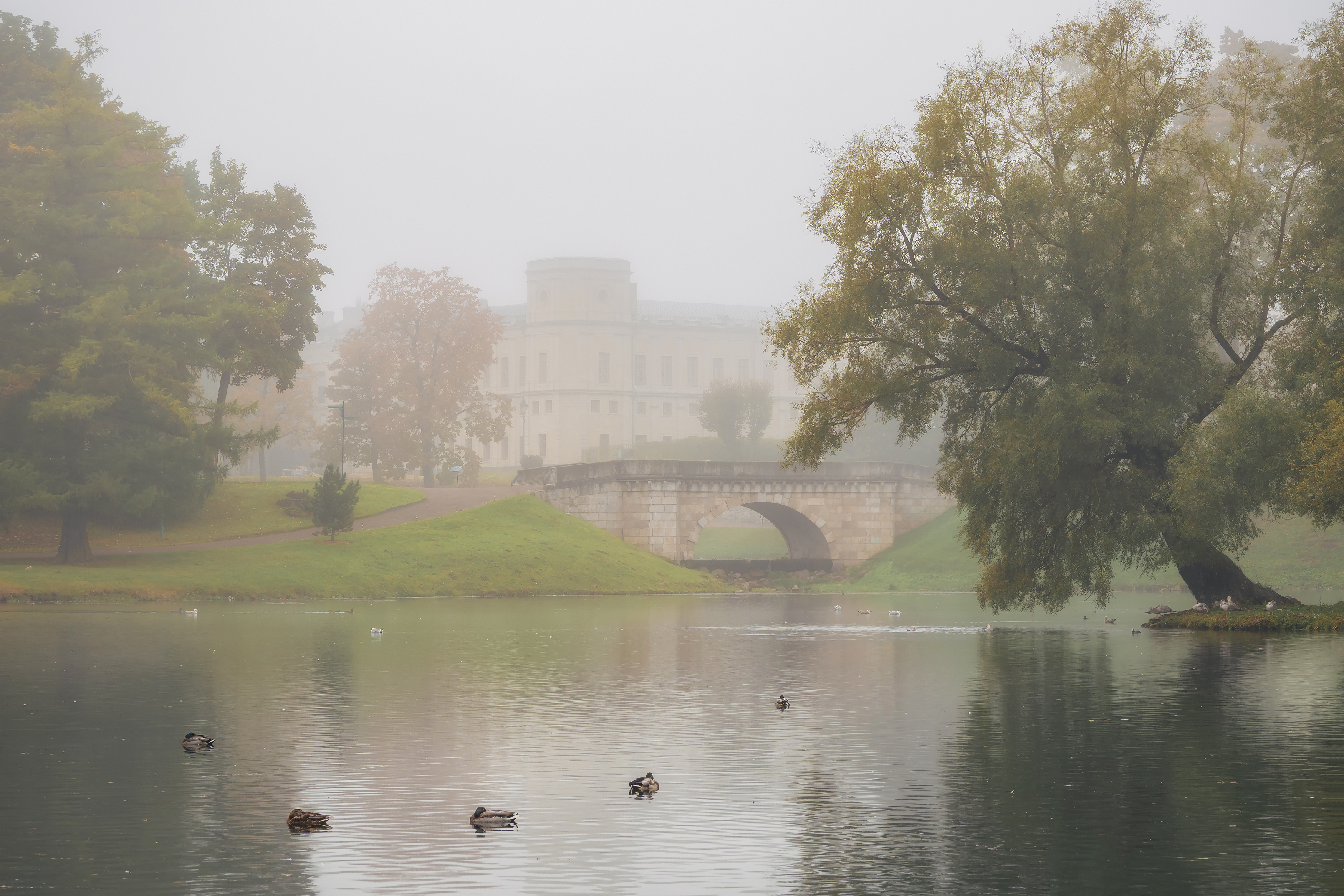 На Белом озере в Дворцовом парке, Гатчина. Октябрь 2025, Станислав Саблин