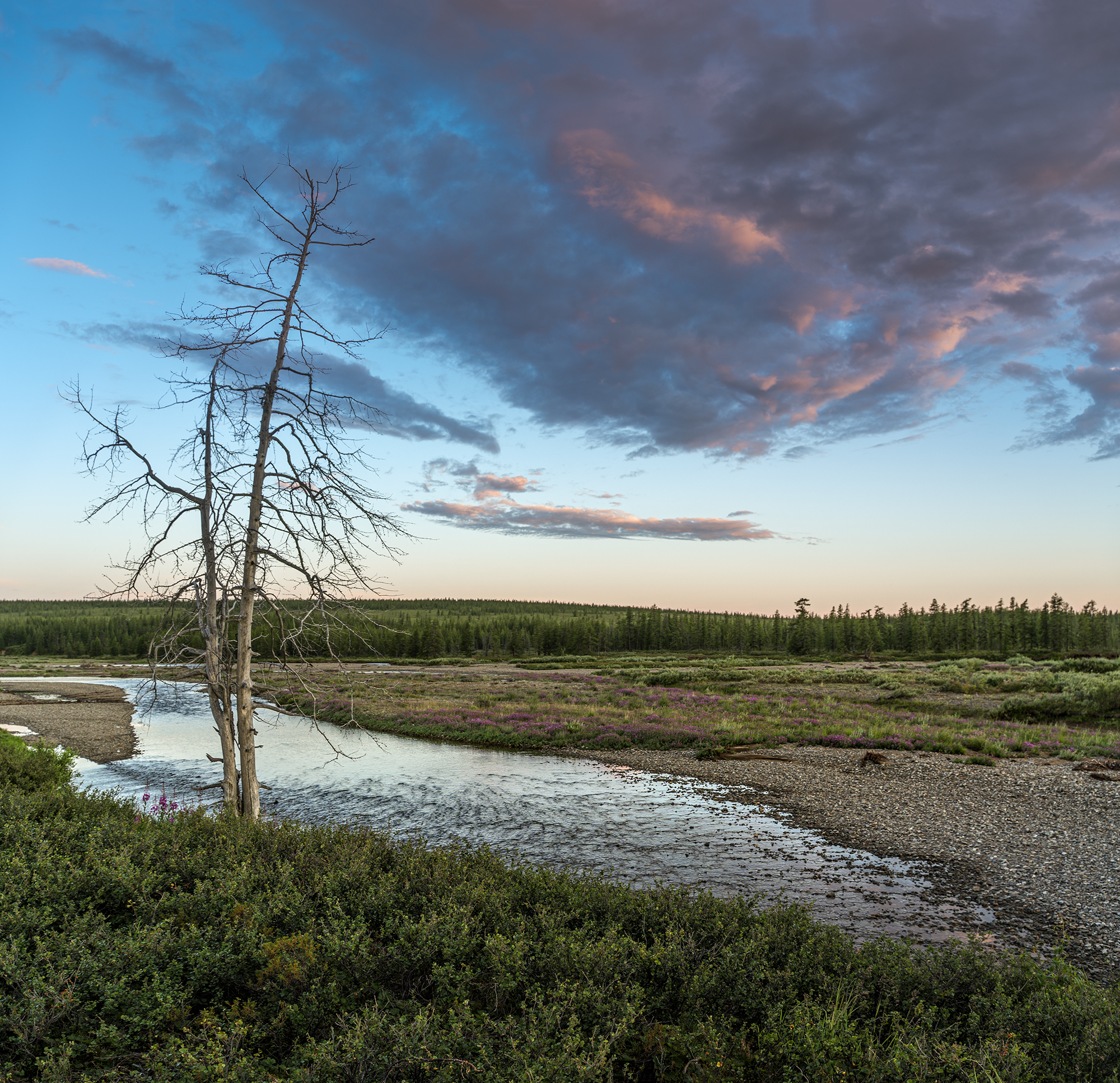 , Андреев Николай