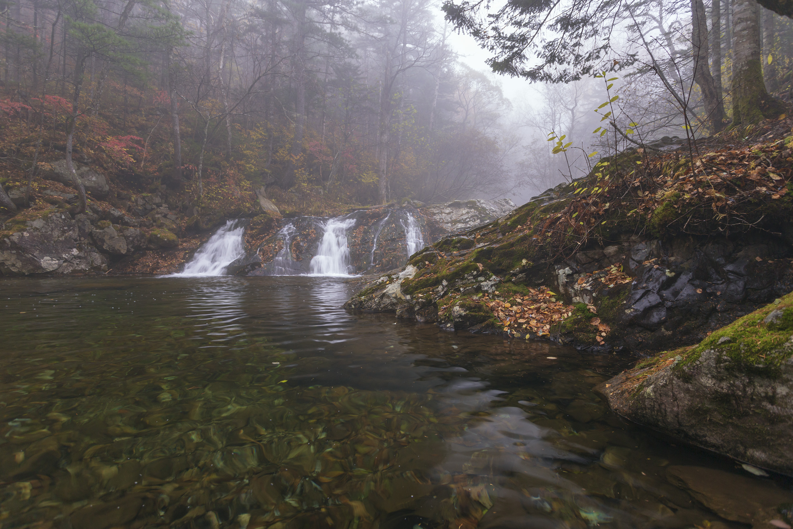 водопад, туман, тайга, Кузнецов Александр