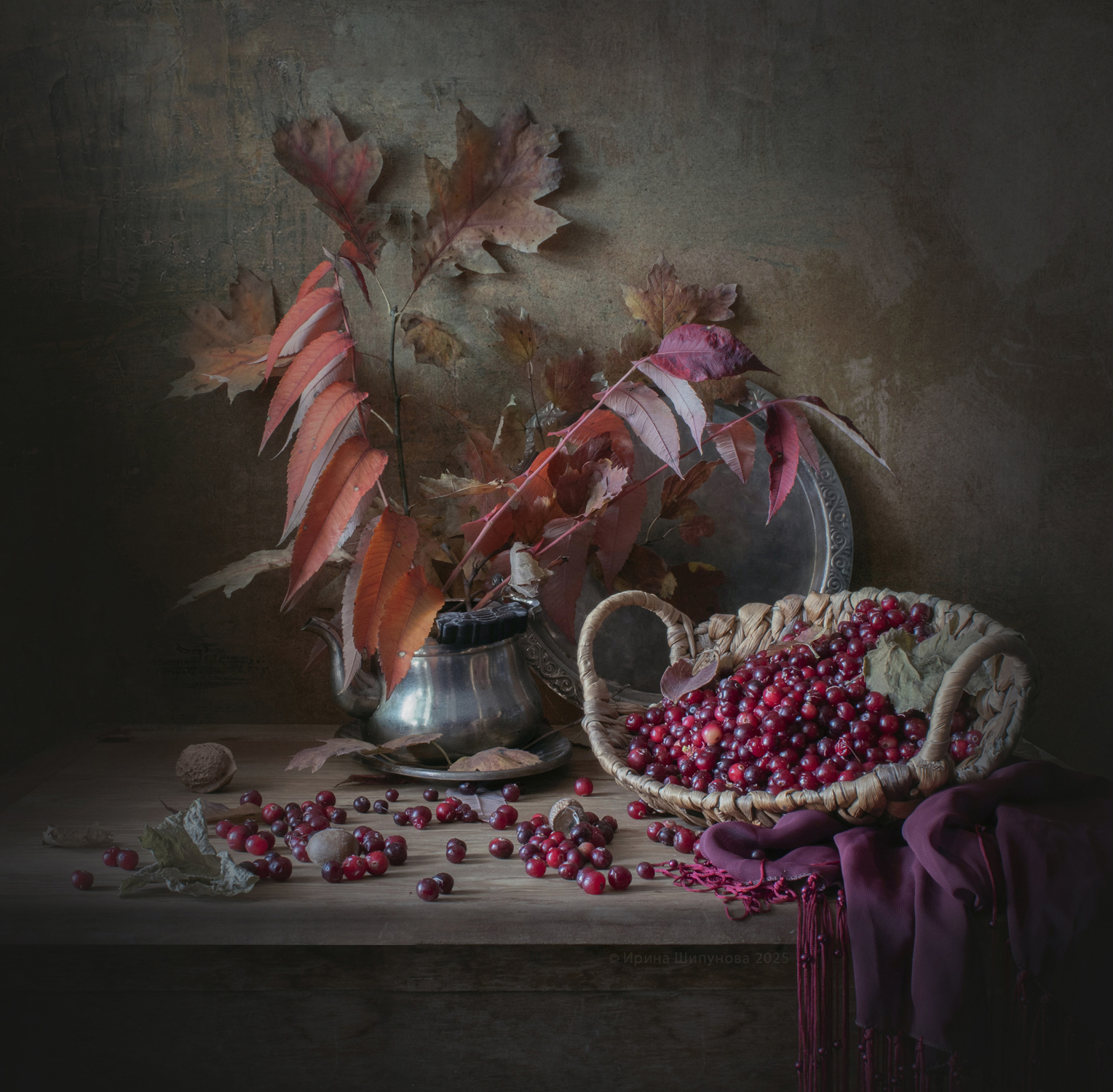 , Шипунова Ирина