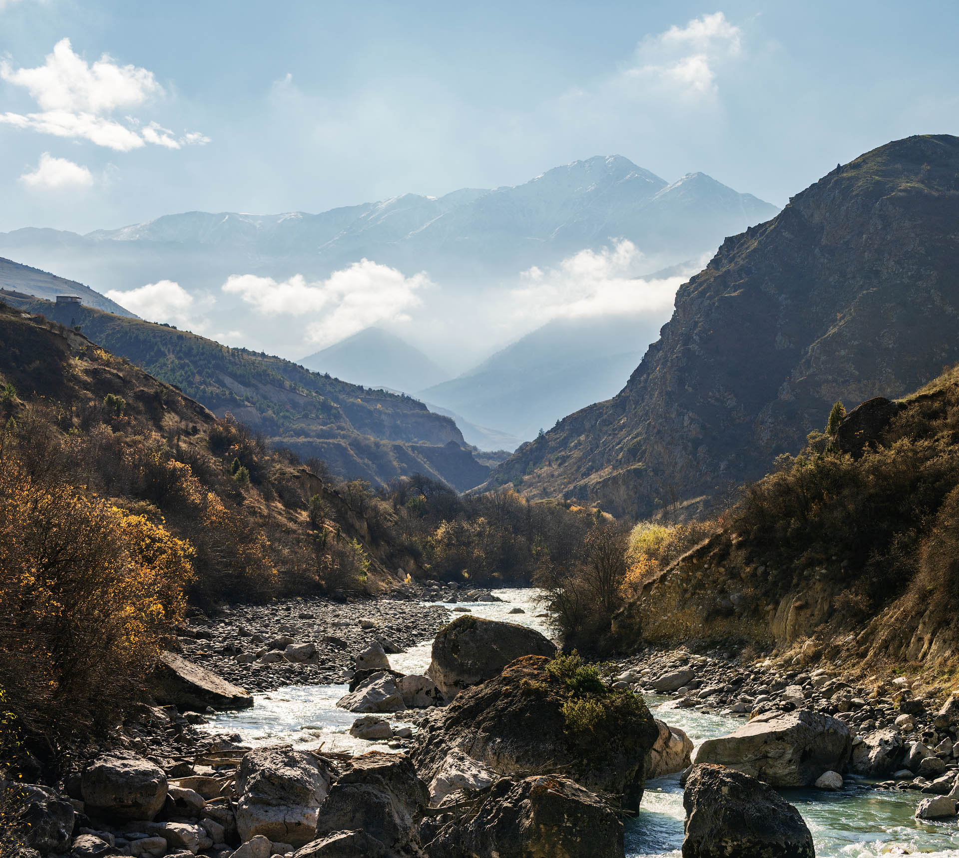 , Шевченко Юрий