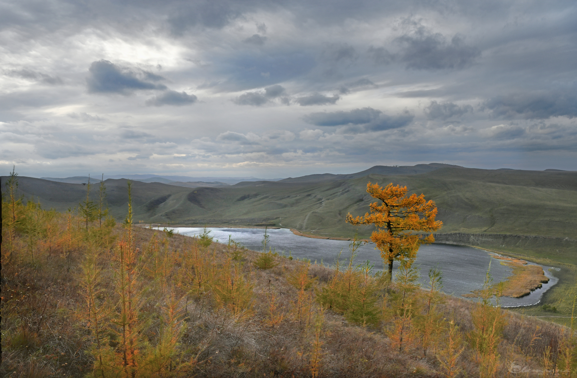 , Крат Светлана