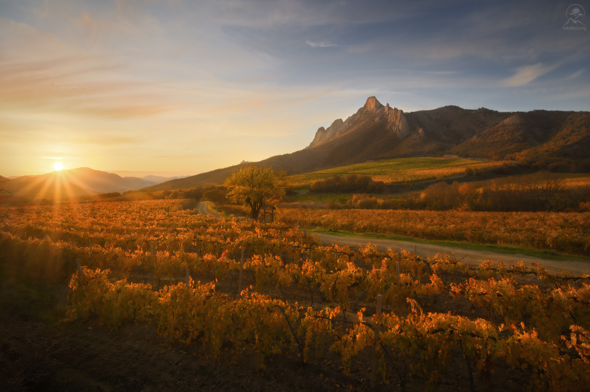 крым, осень, виноград, виноградники, судак, горы, восток, долина, фототур в крым, Гордиенко Анатолий