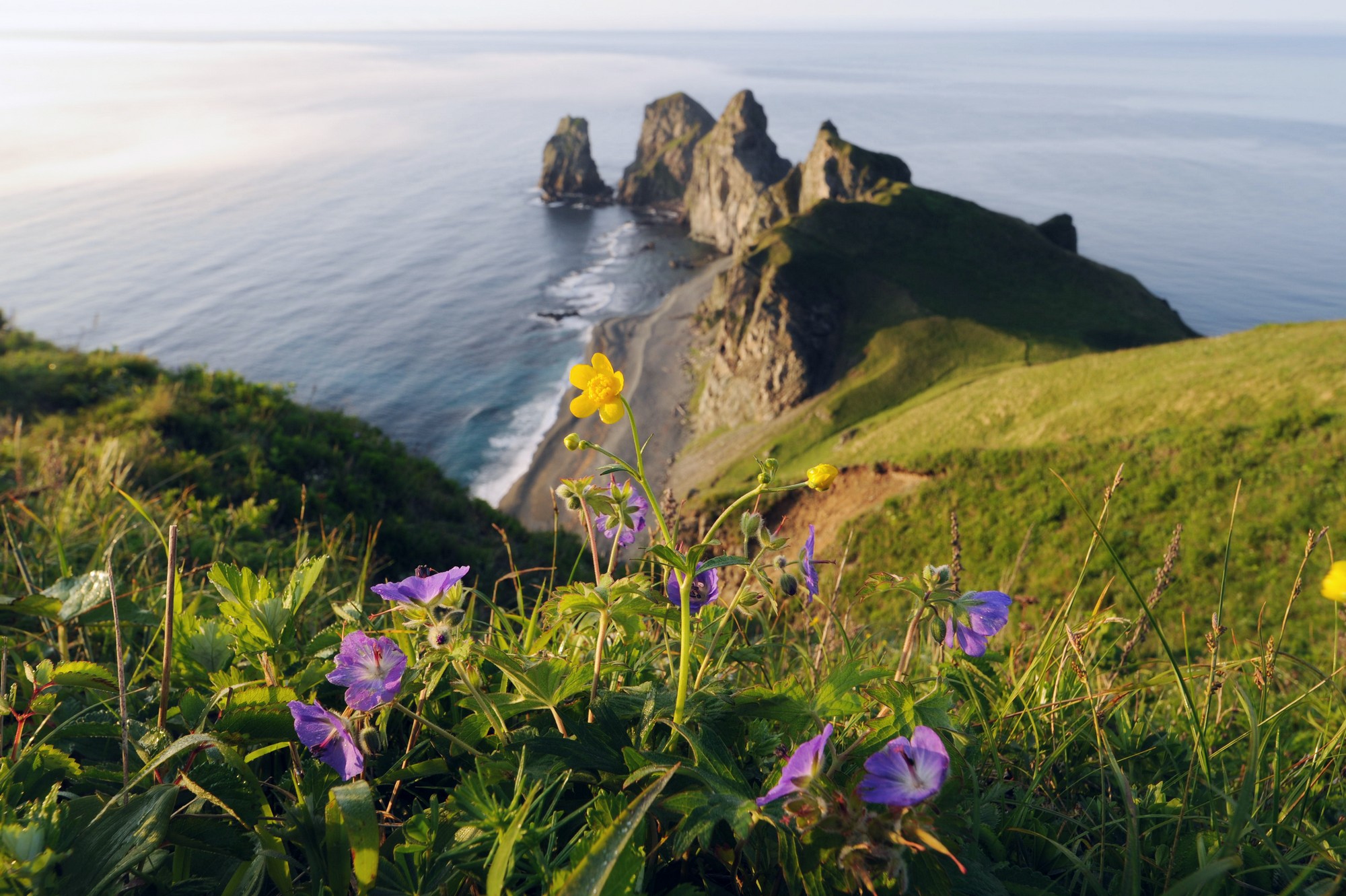 , Васильева Дарья