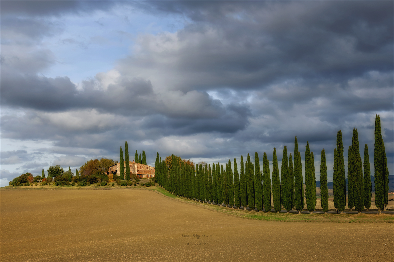 italy,san quirico d\\\'orcia,italia,италия,тоскана,pienza,кипарис,toscana,осень,tuscany,cipressi,belvedere,пьенца,тени,вилла,poggio covili, Гори Василий