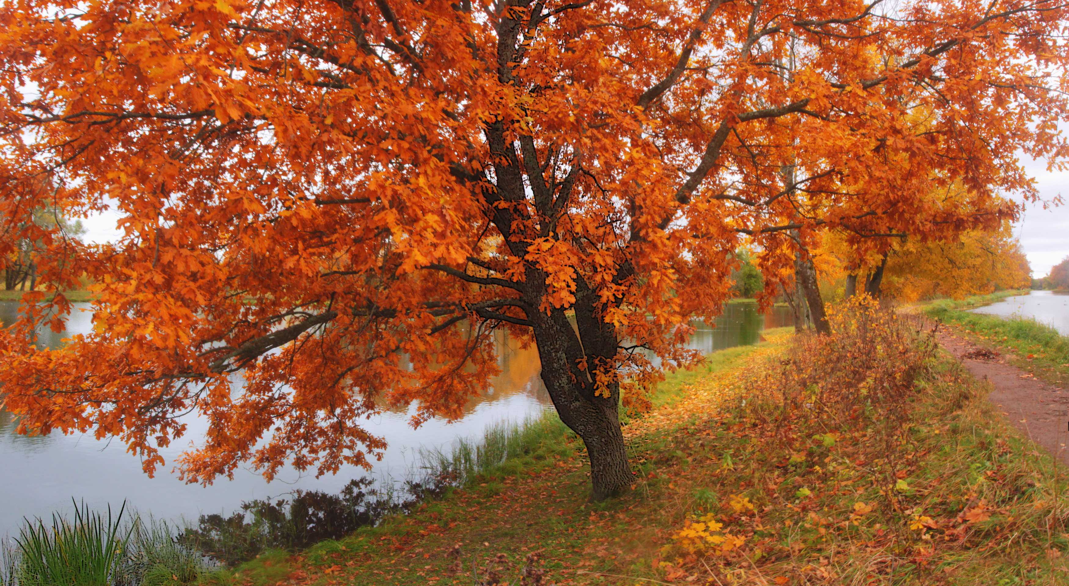 , Сергей Григорьев