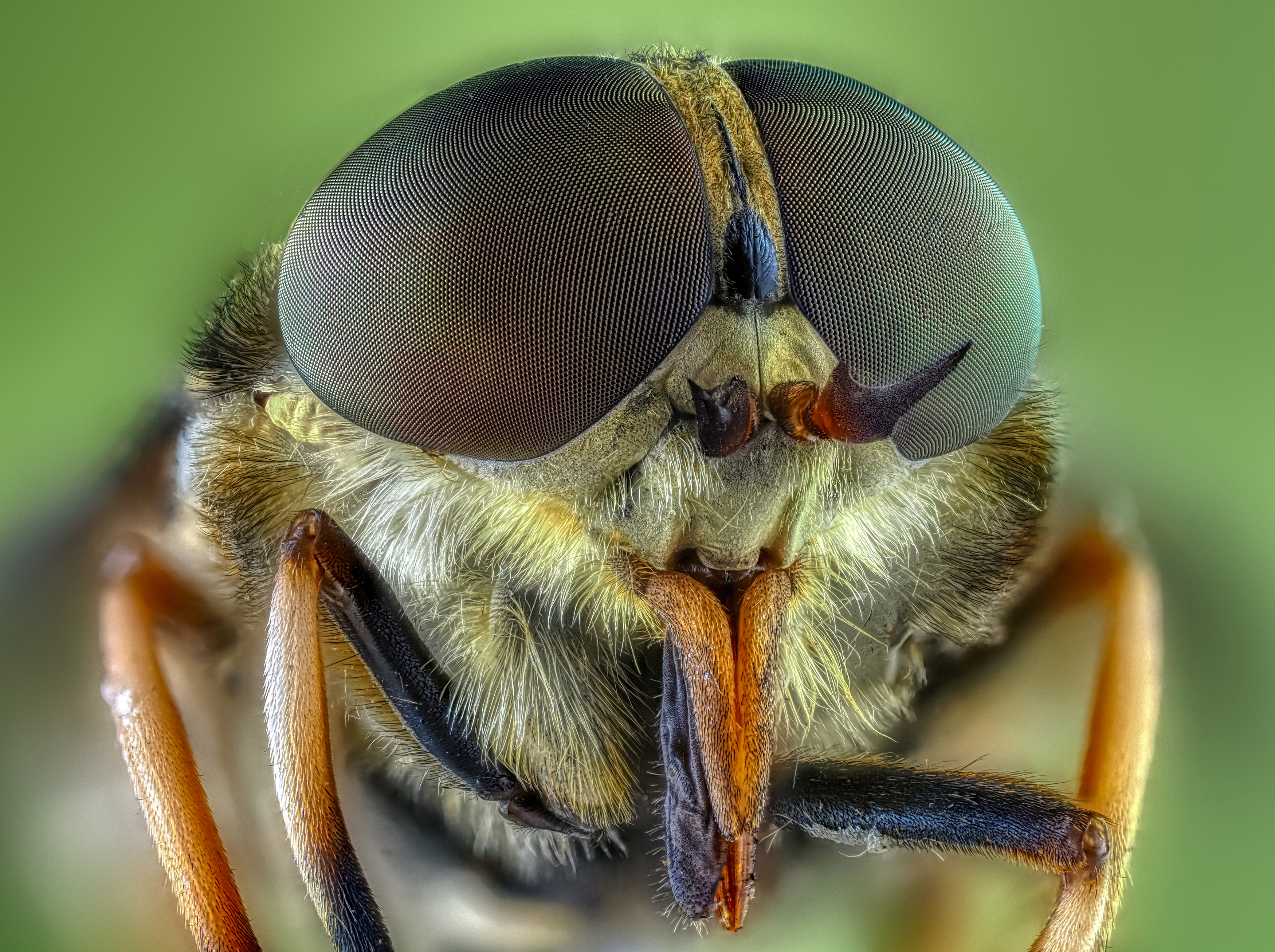 , Олег Савицкий