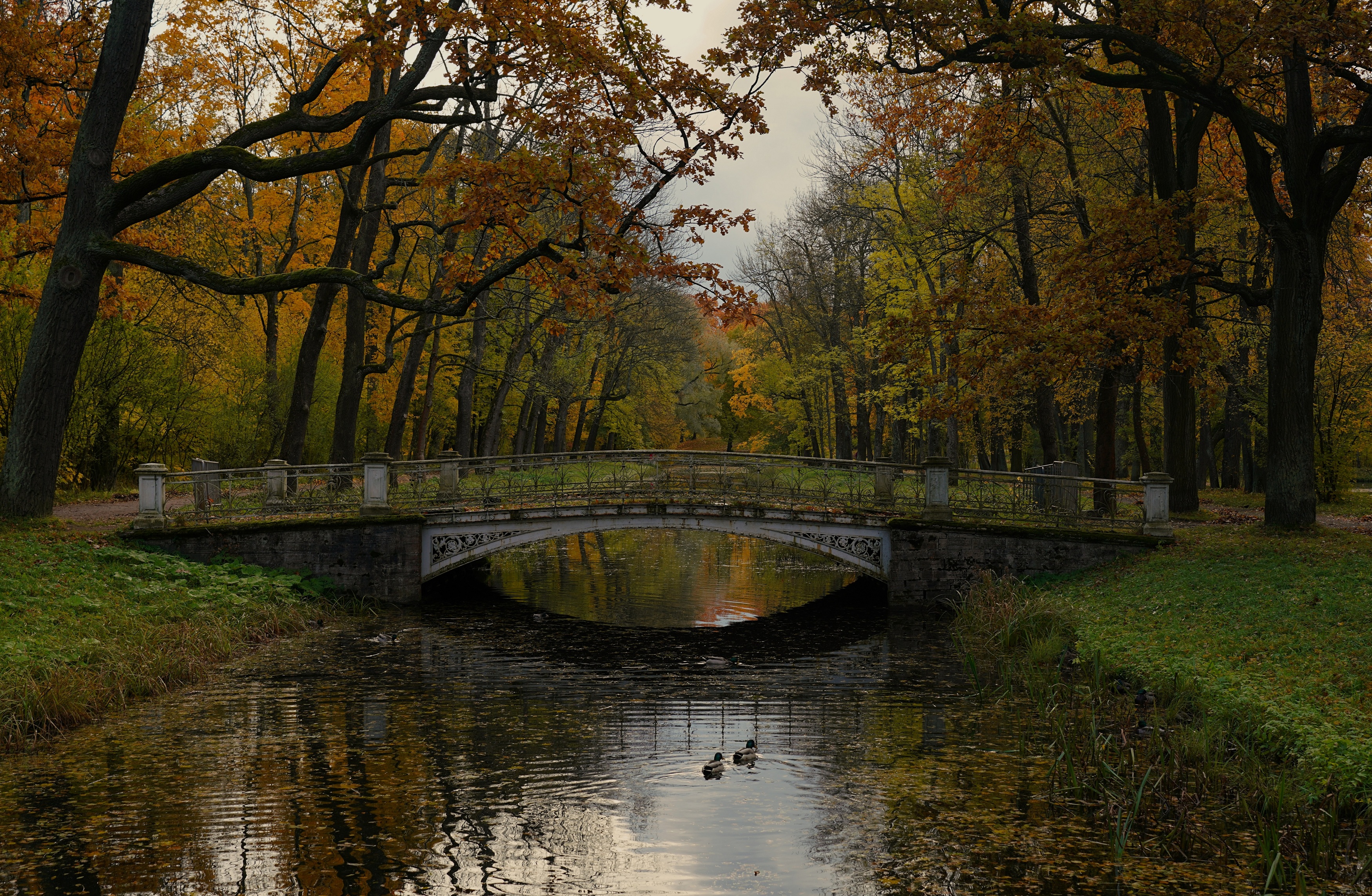 ,  Сергей Андреевич