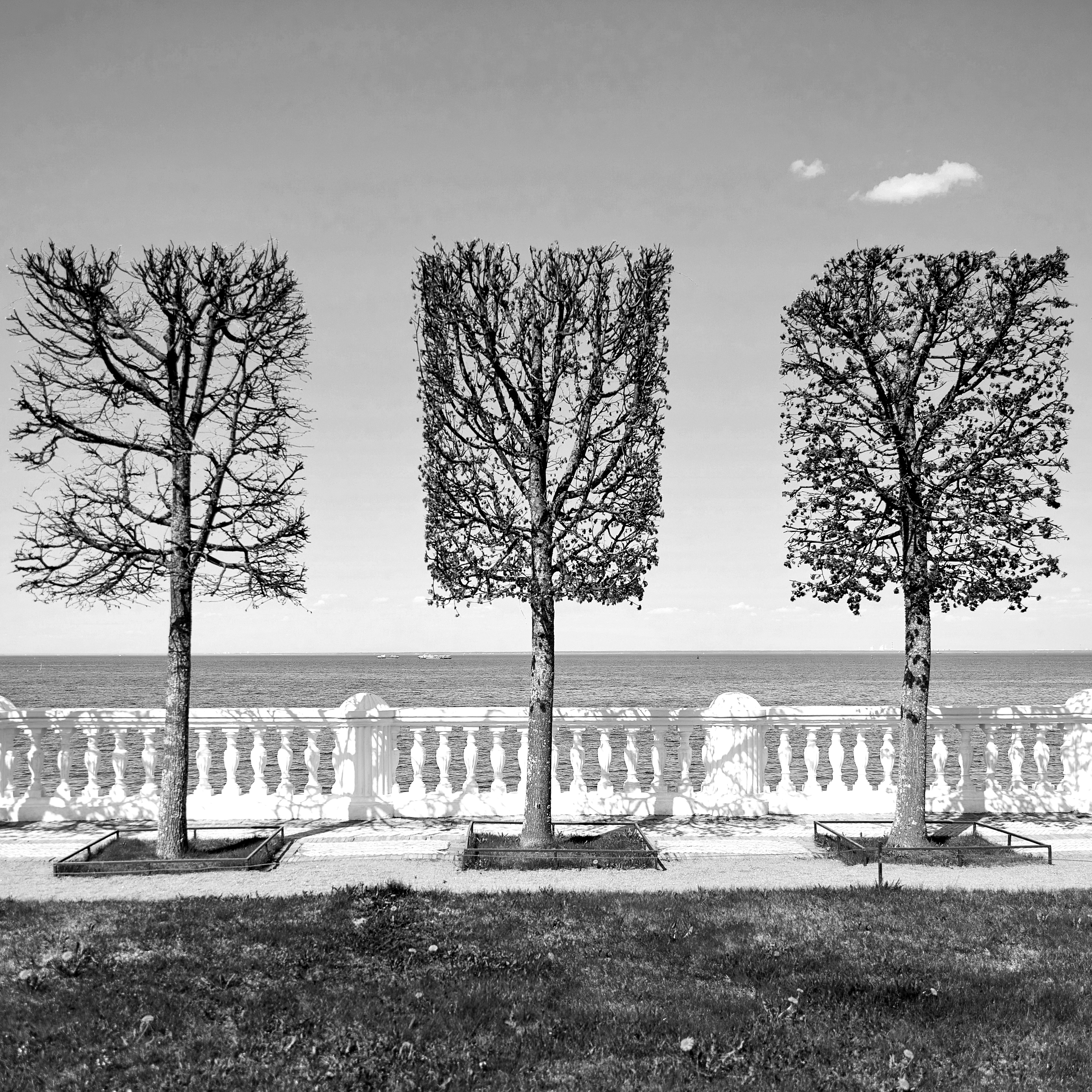 , Герц Дмитрий