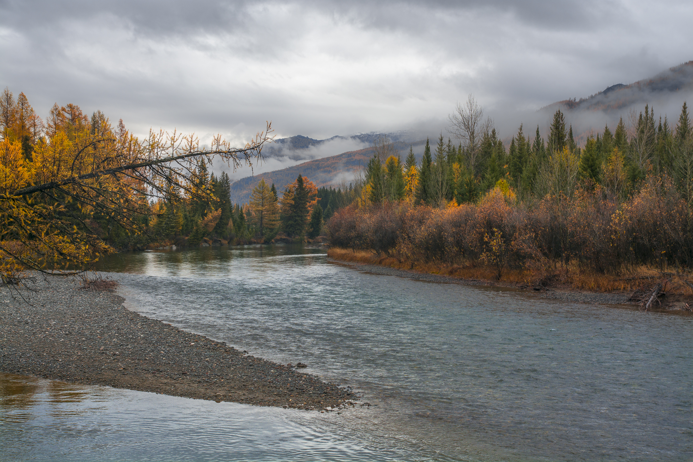 россия, горный алтай,осень, река, утро, Андрей Поляков