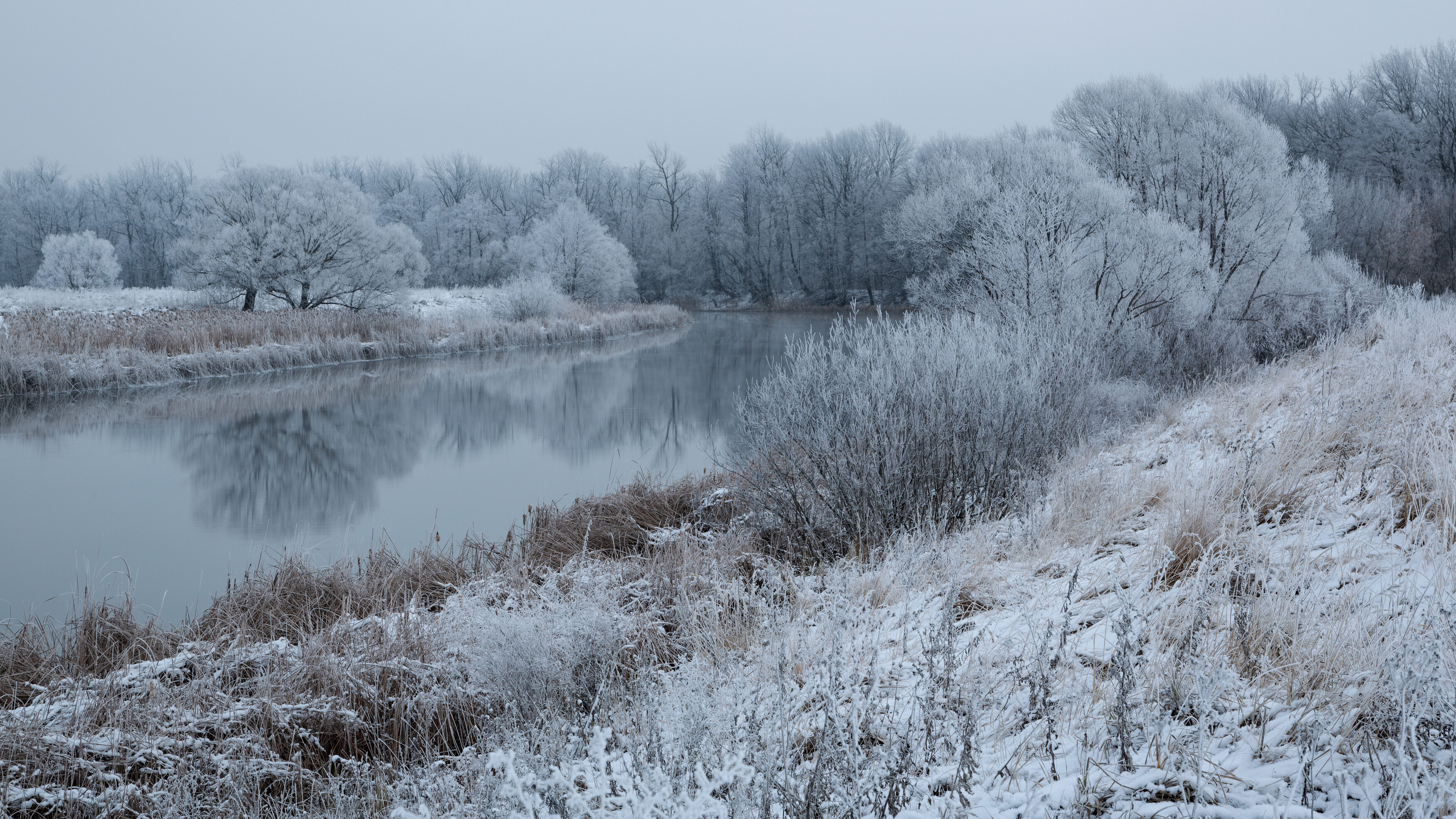 , Александр Бредихин