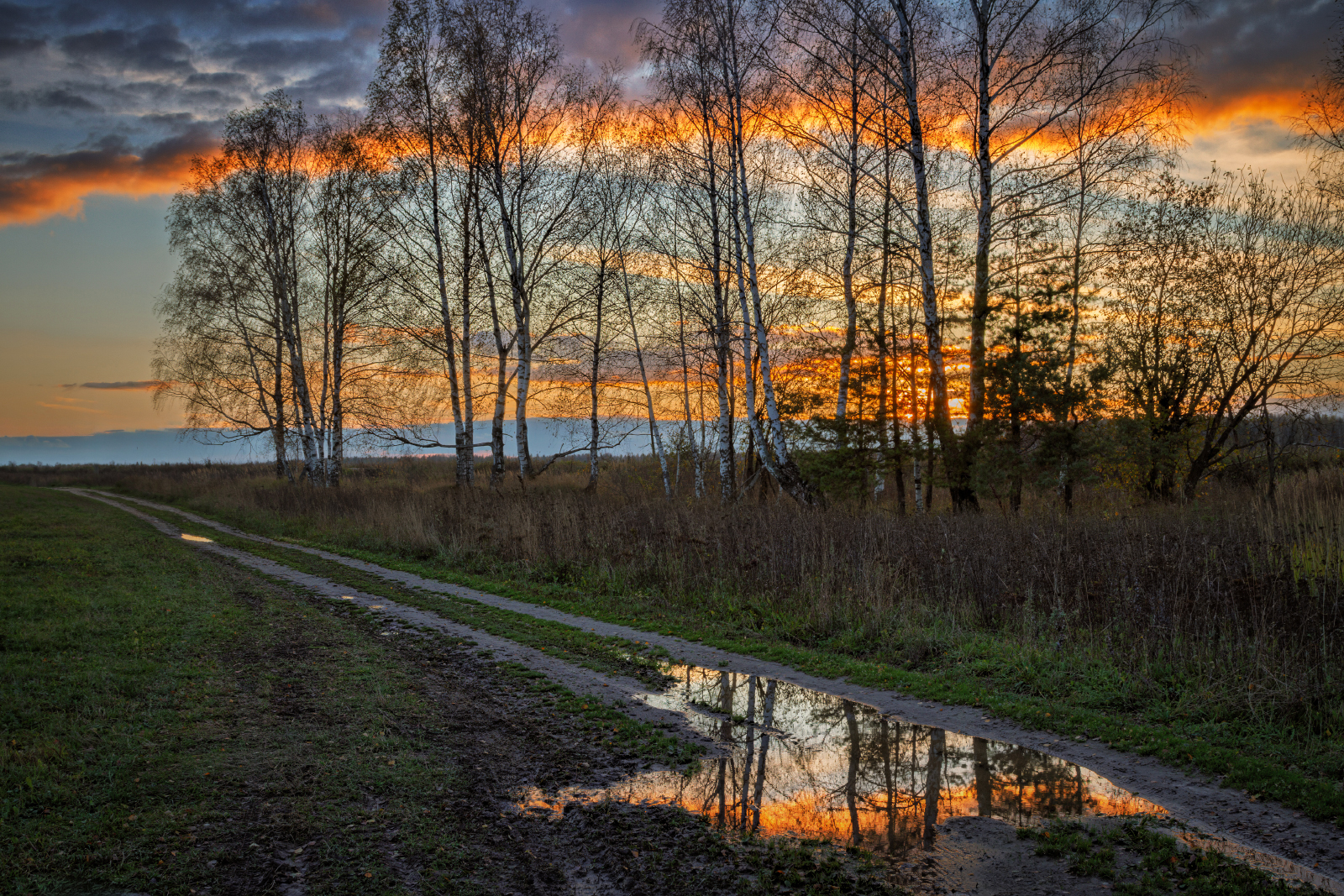 , Евгений Ерохин