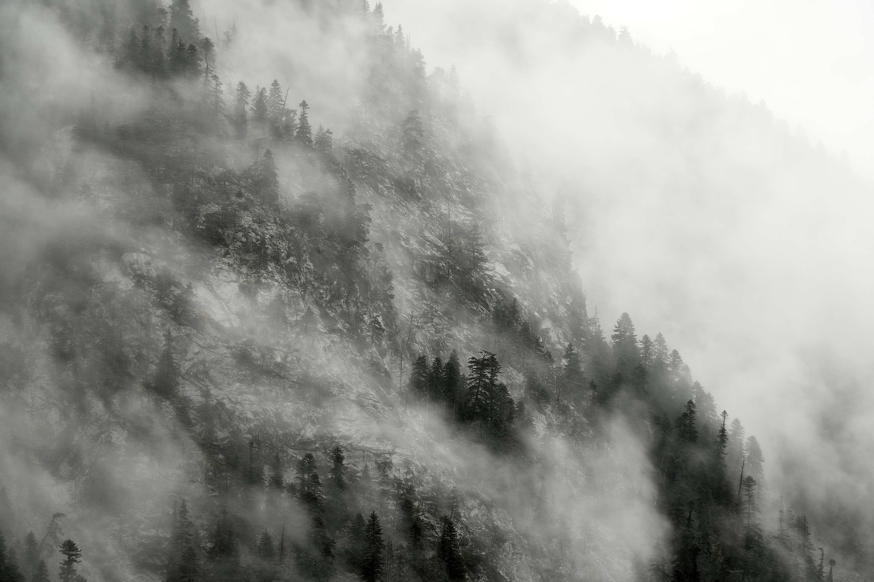 Домбай, Абдулаев Ян