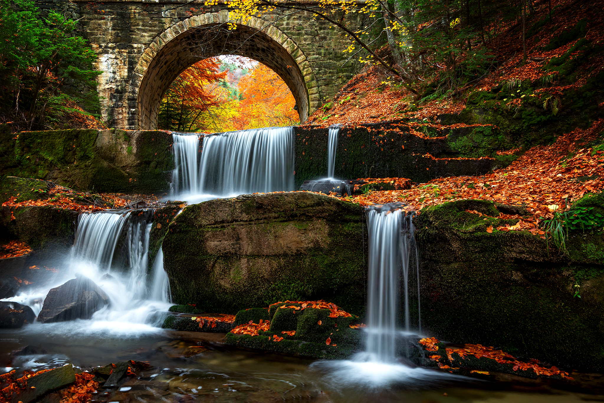 , Георгиев Иван